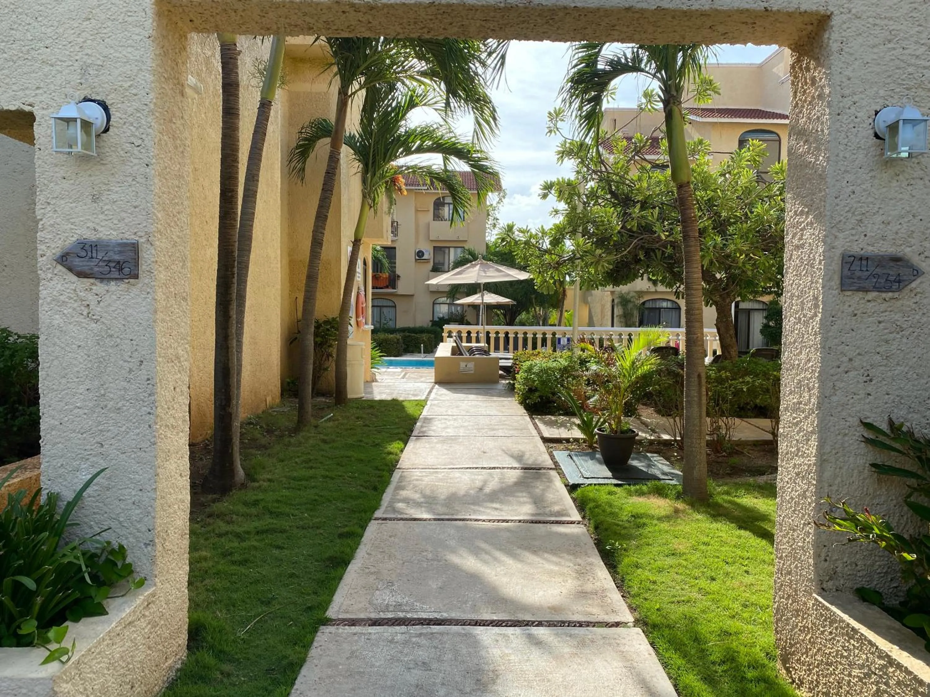 Garden in Tropical apartment