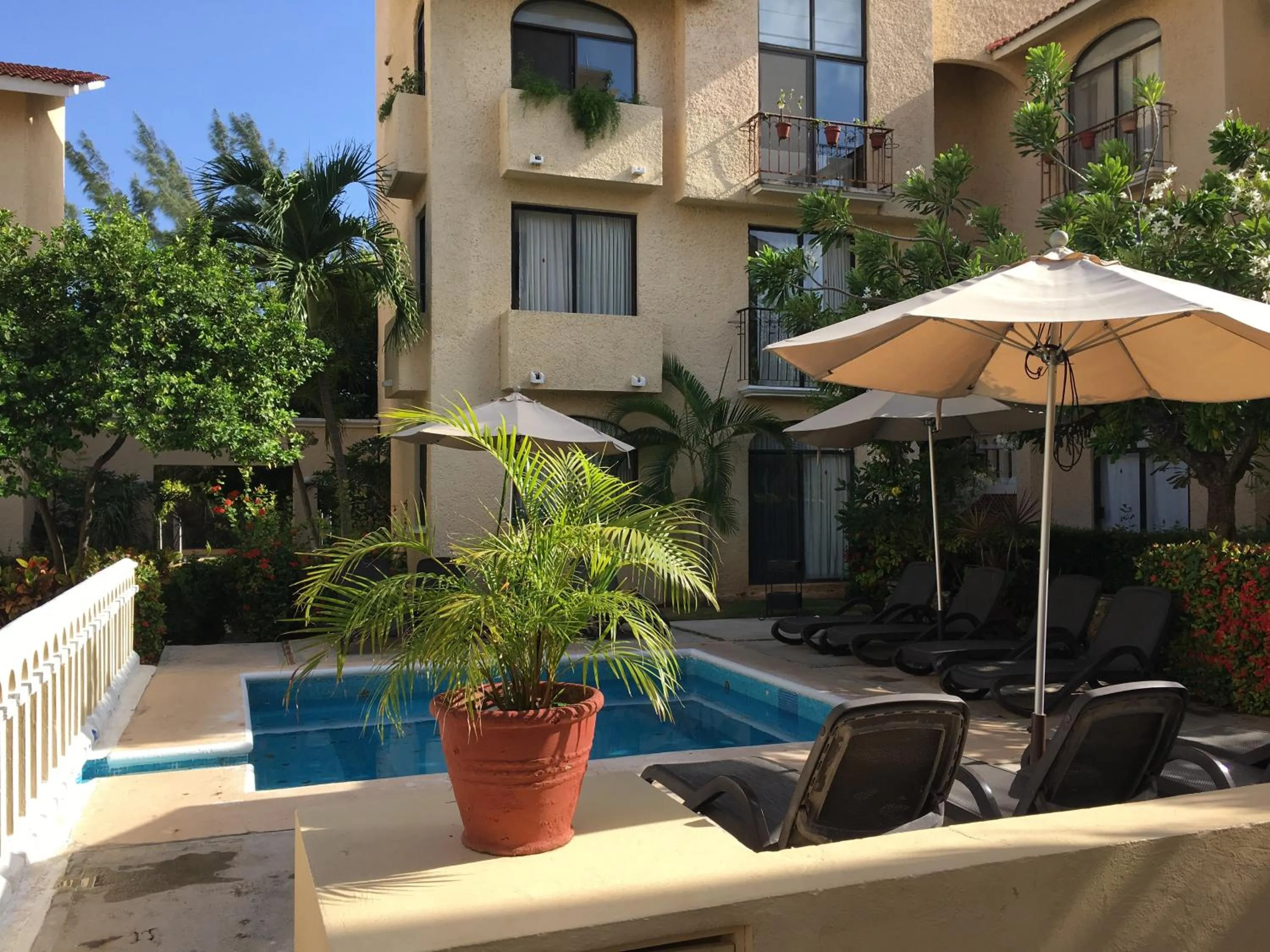 Swimming pool in Tropical apartment