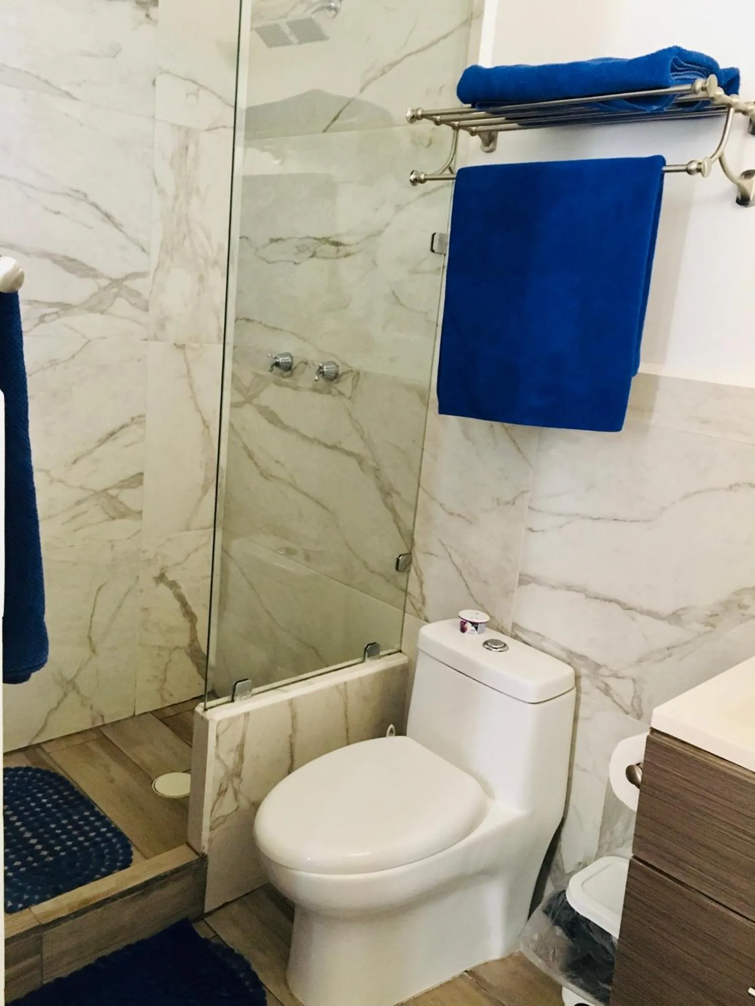 Shower in Tropical apartment