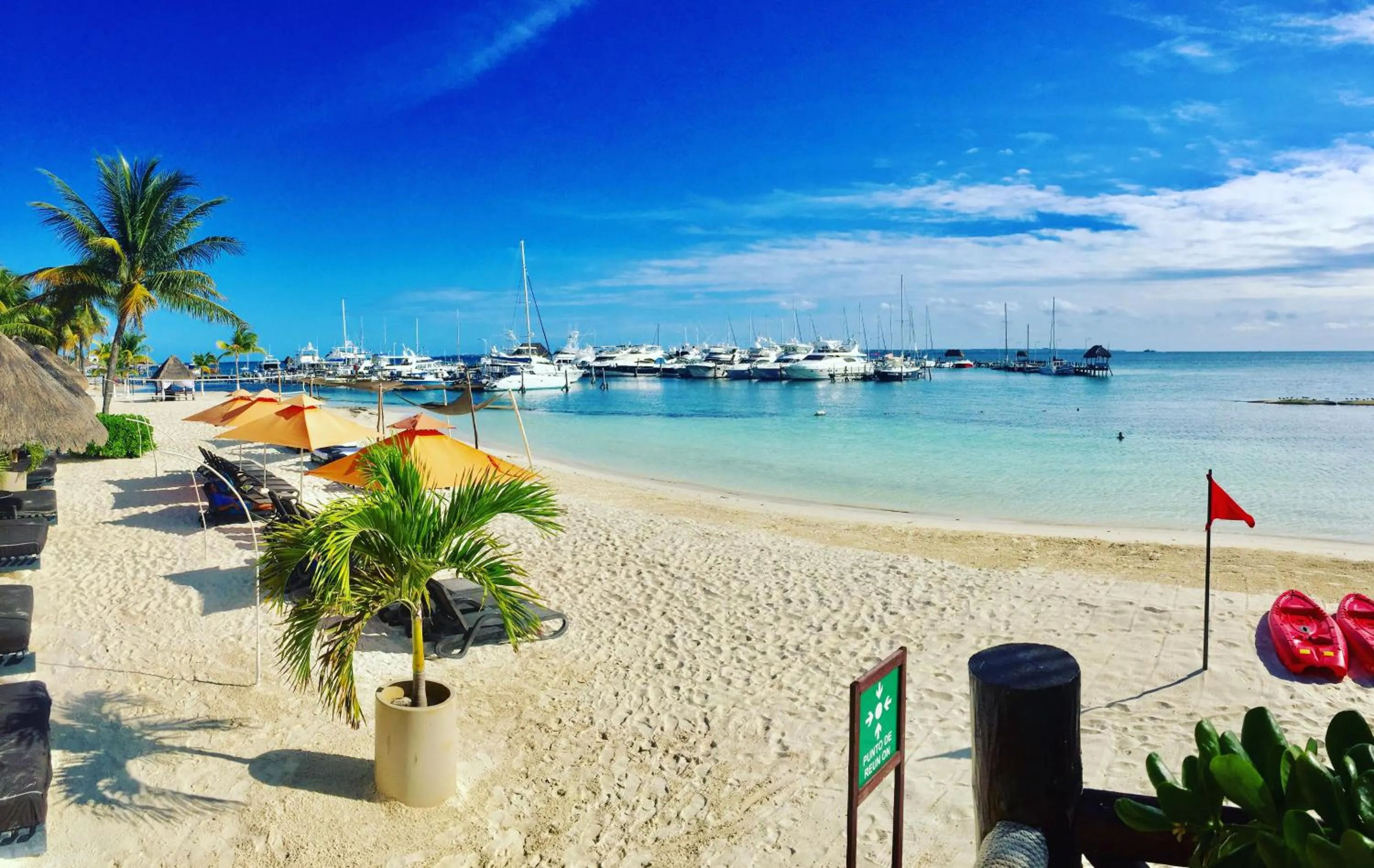 Living room in Tropical apartment