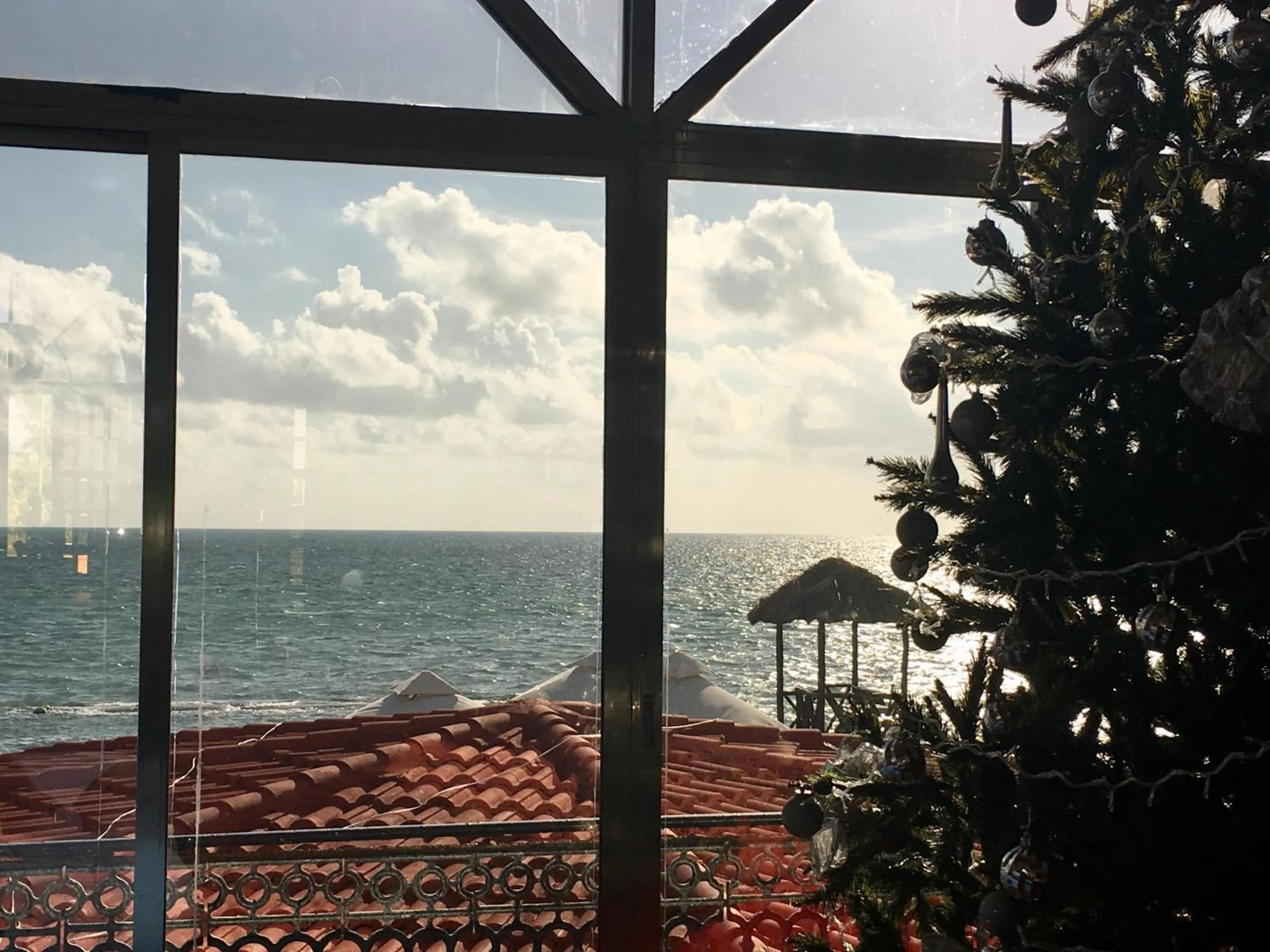 Lounge or bar in Tropical apartment