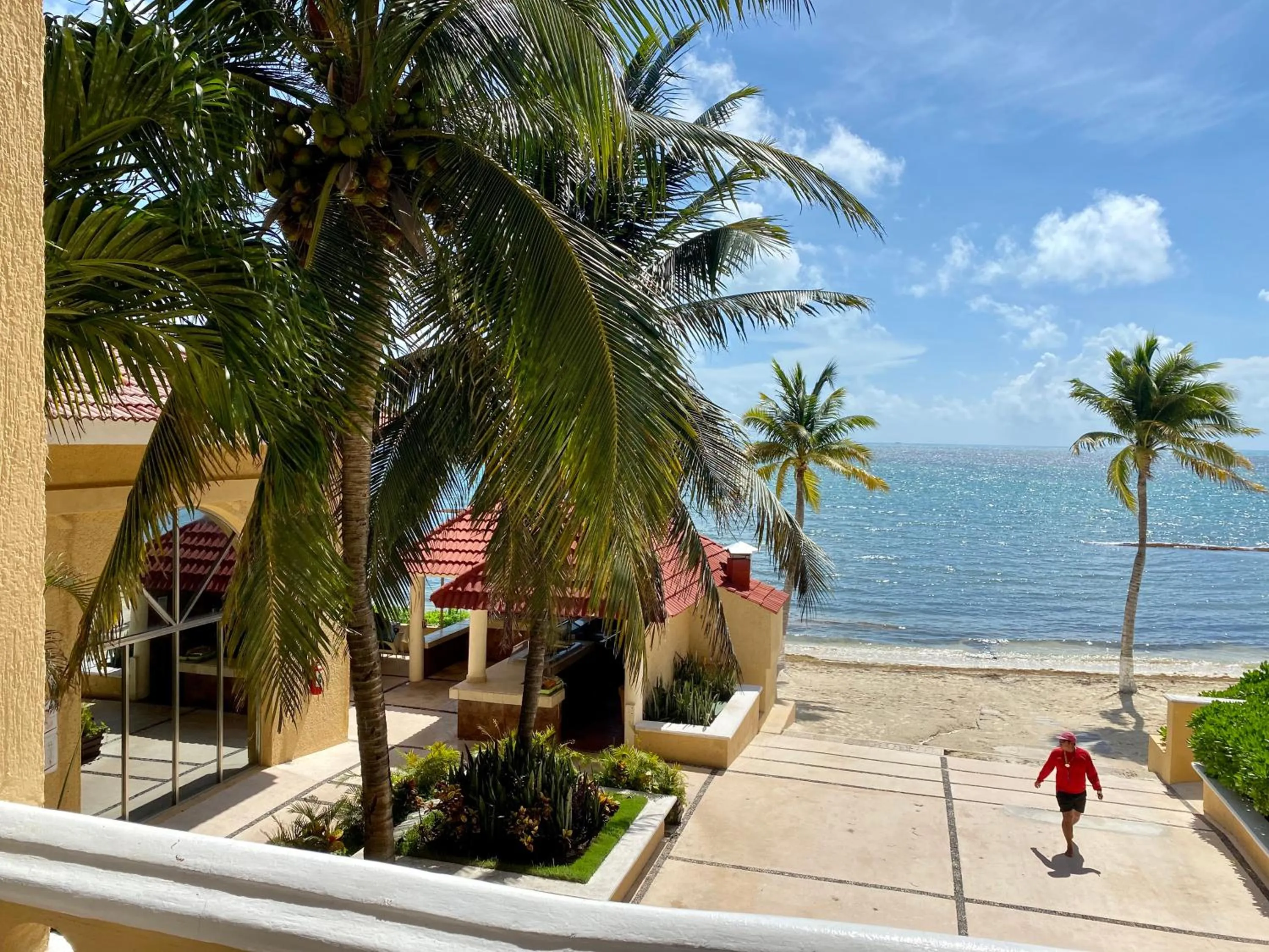 Restaurant/places to eat in Tropical apartment