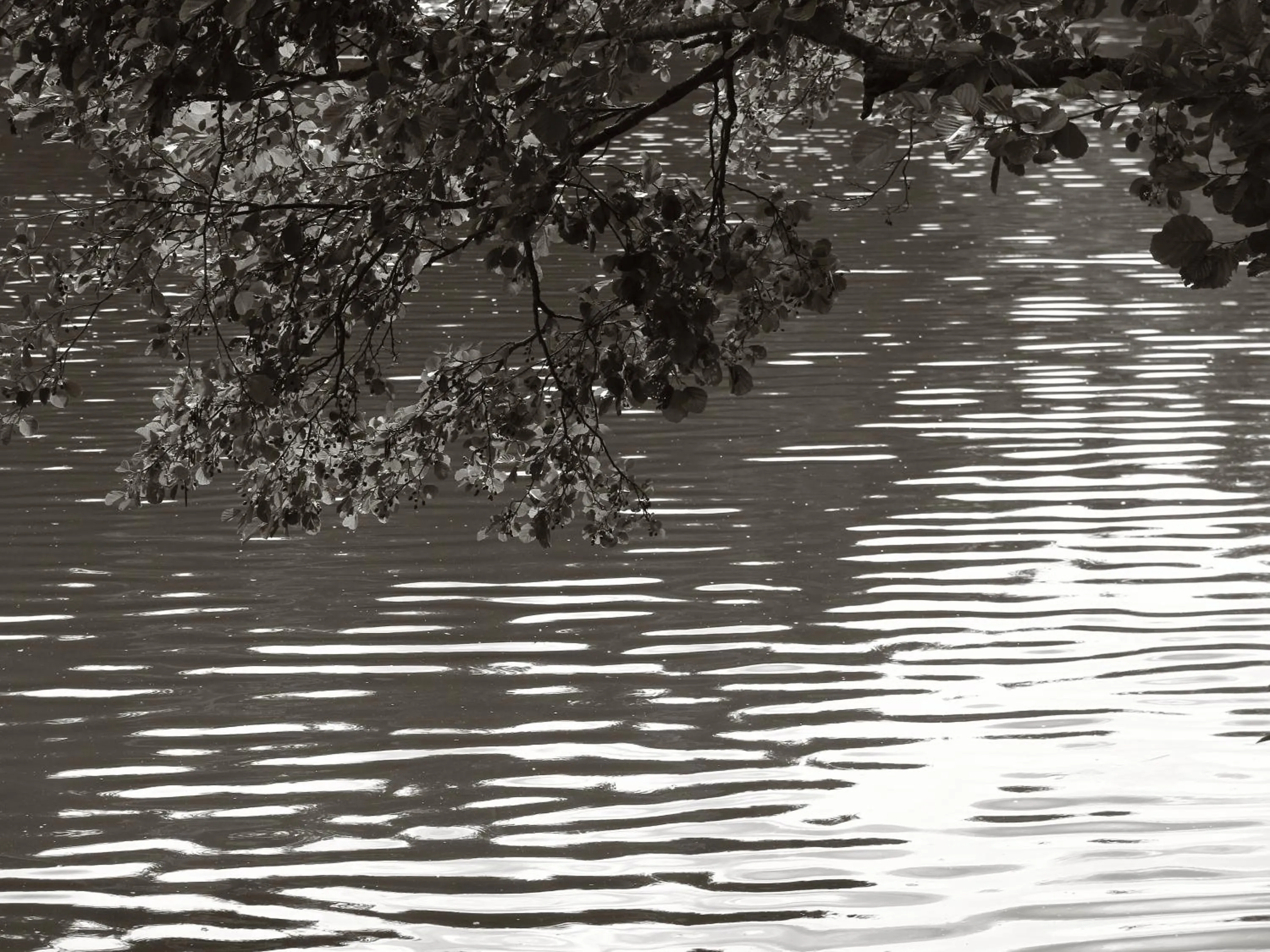 Natural landscape in Seegasthof Franz Bolz GBR