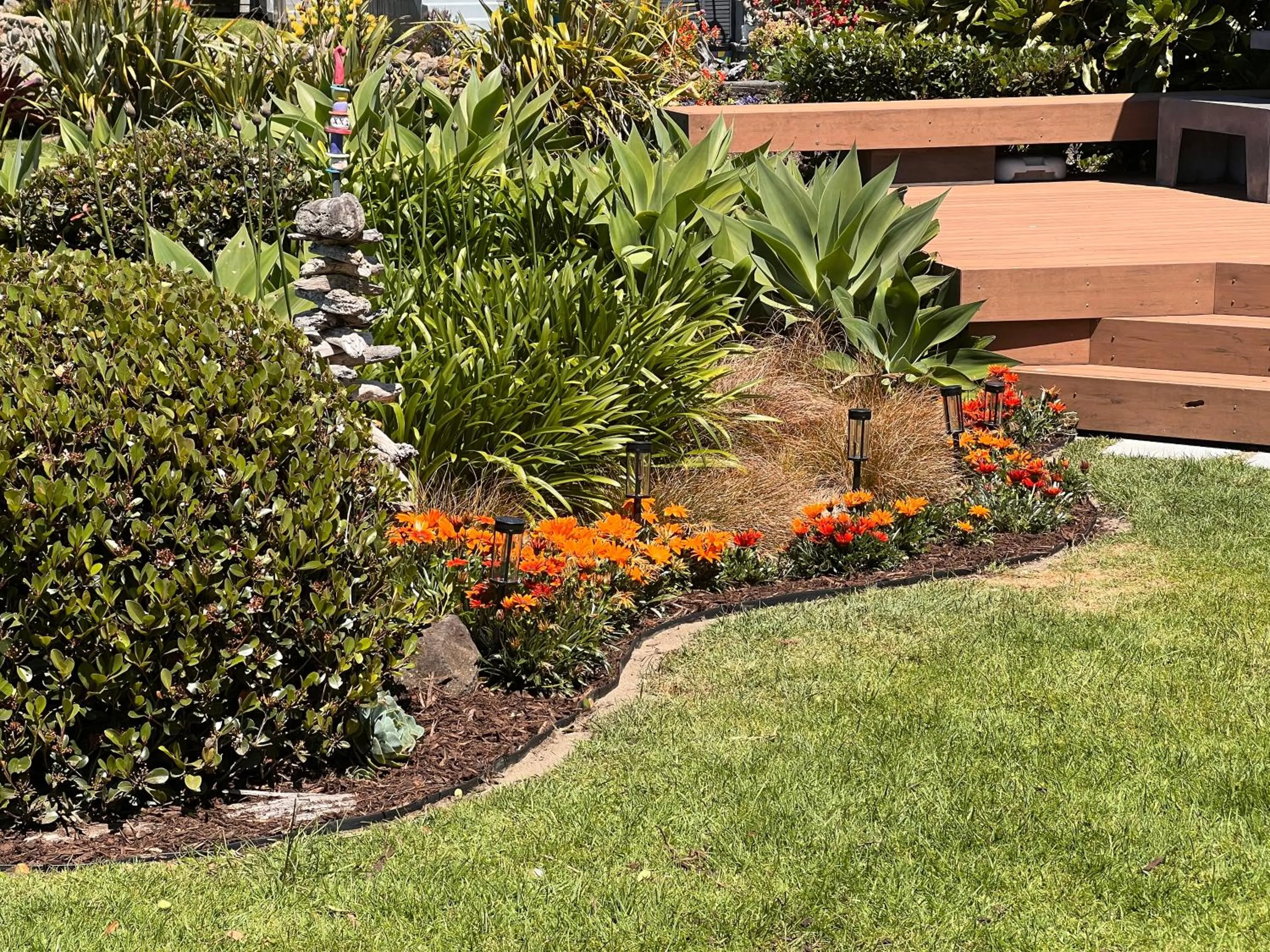Garden in Absolute Beach front-Tutukaka Harbour