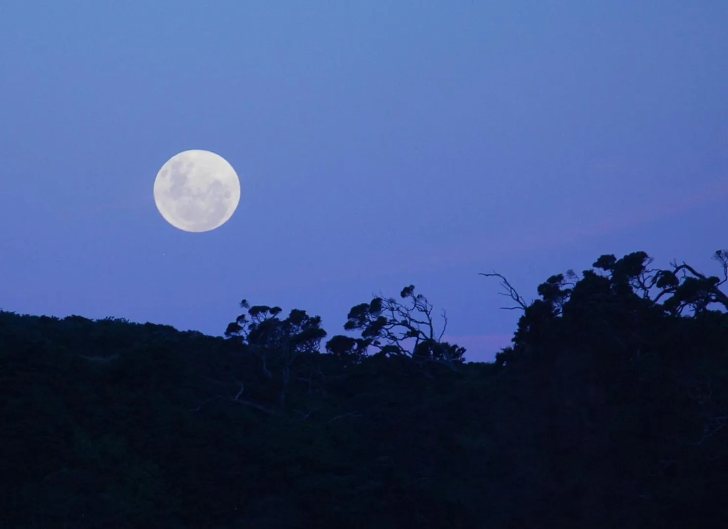 Night in Absolute Beach front-Tutukaka Harbour