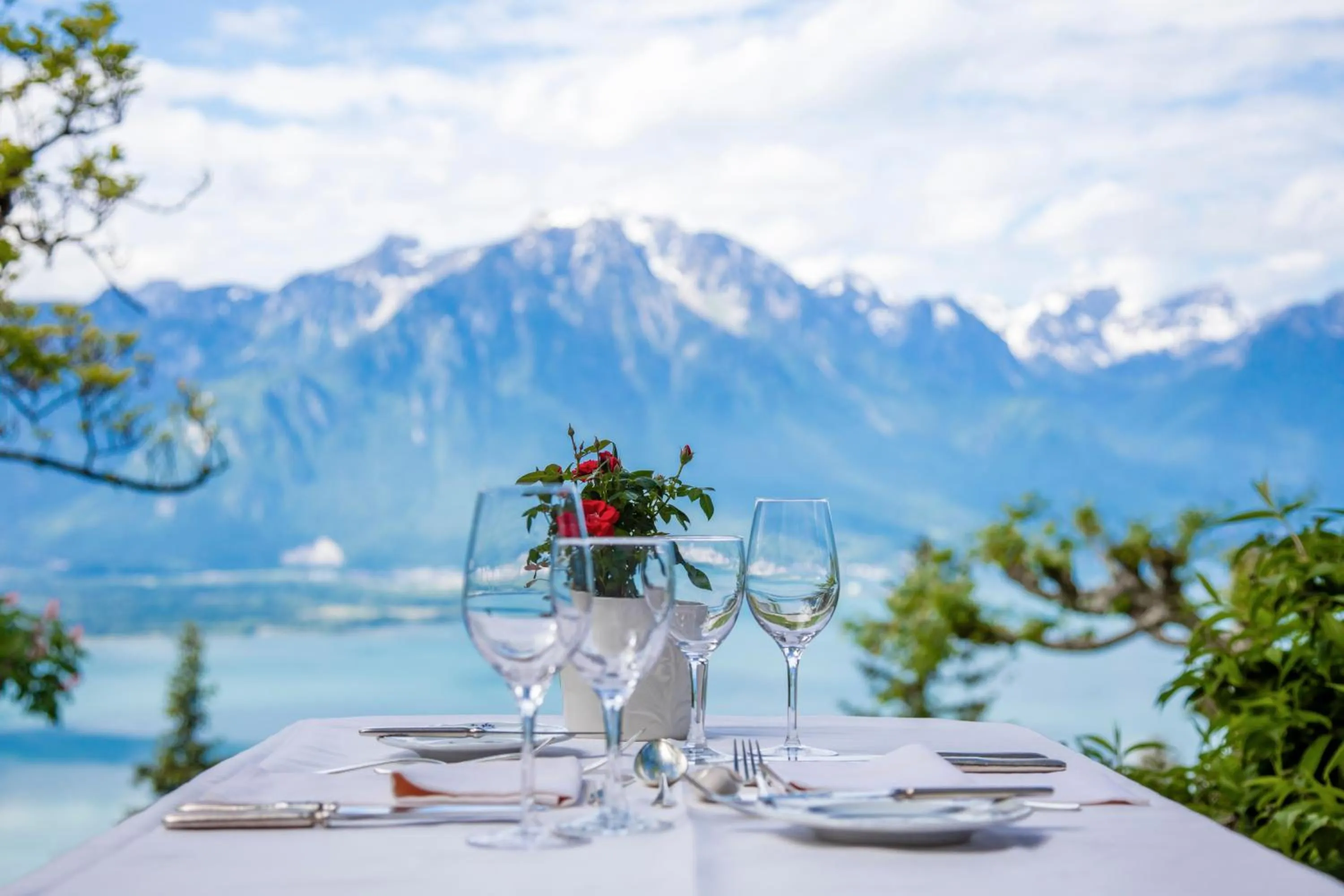 Natural landscape in Hotel Victoria Glion