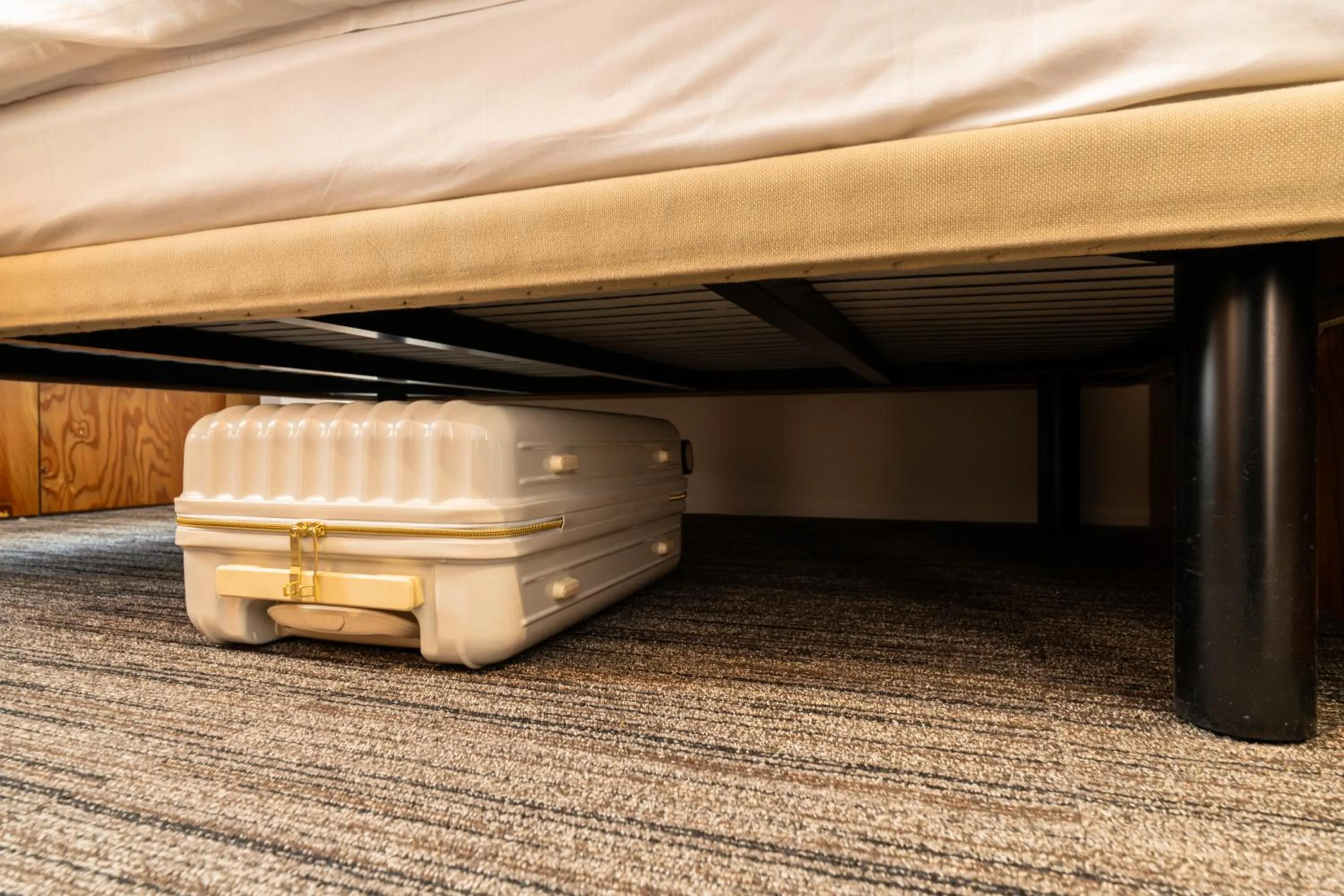 ONE@Tokyo by insomnia