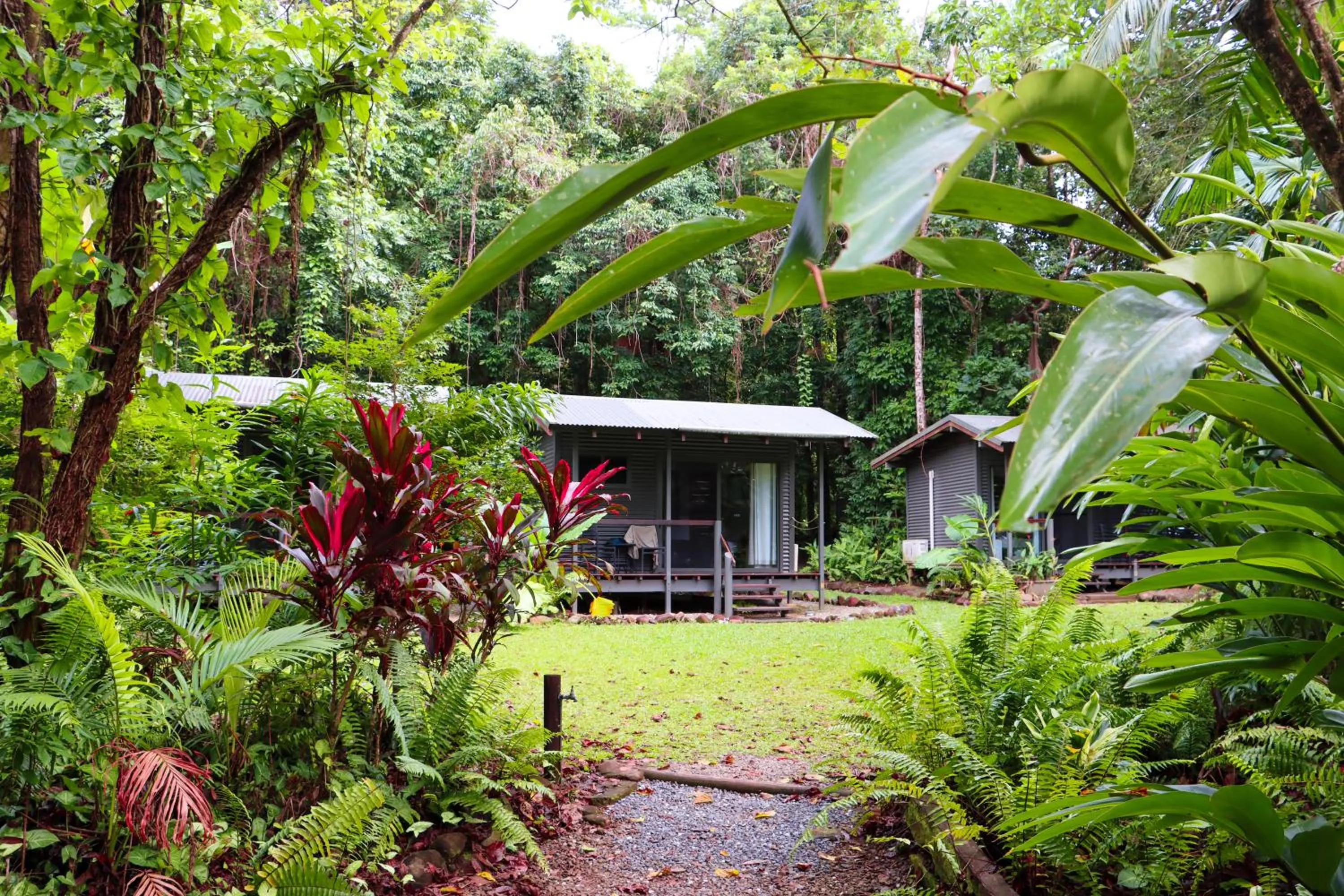 Garden in Safari Lodge