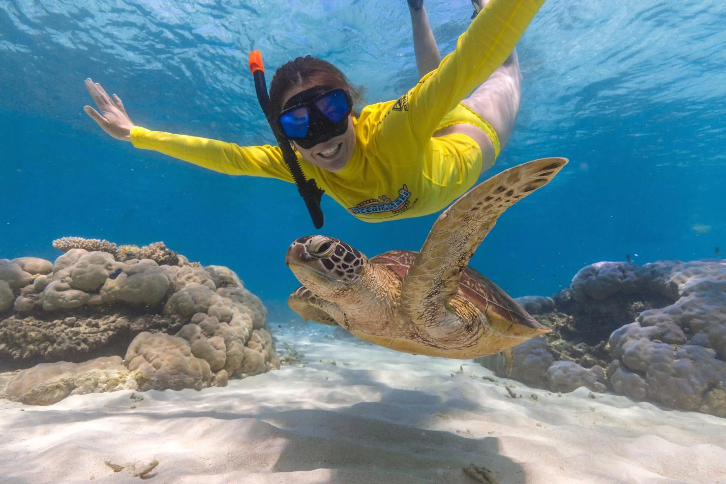 Snorkeling in Safari Lodge