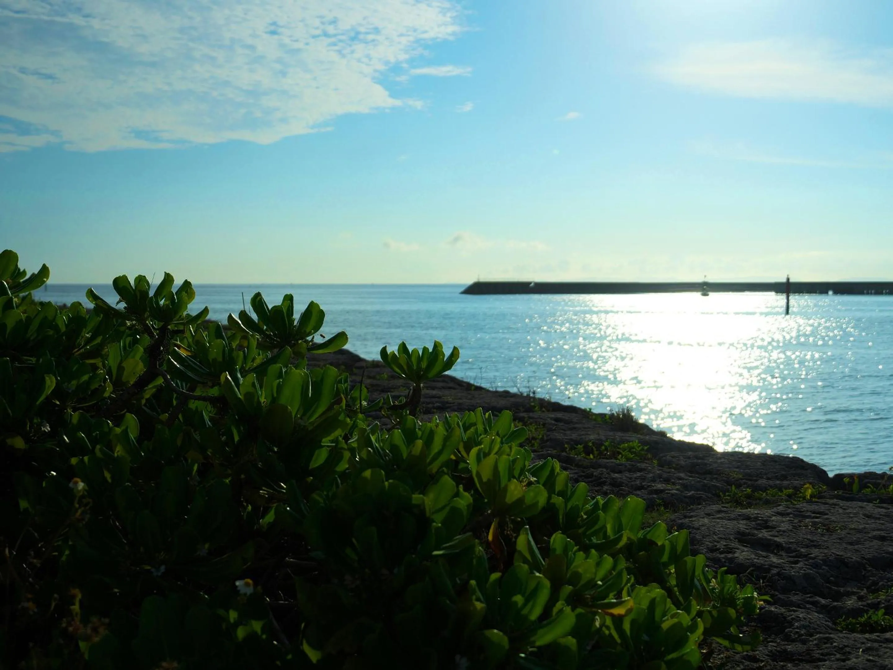Natural landscape in Cozy Stay In Itoman