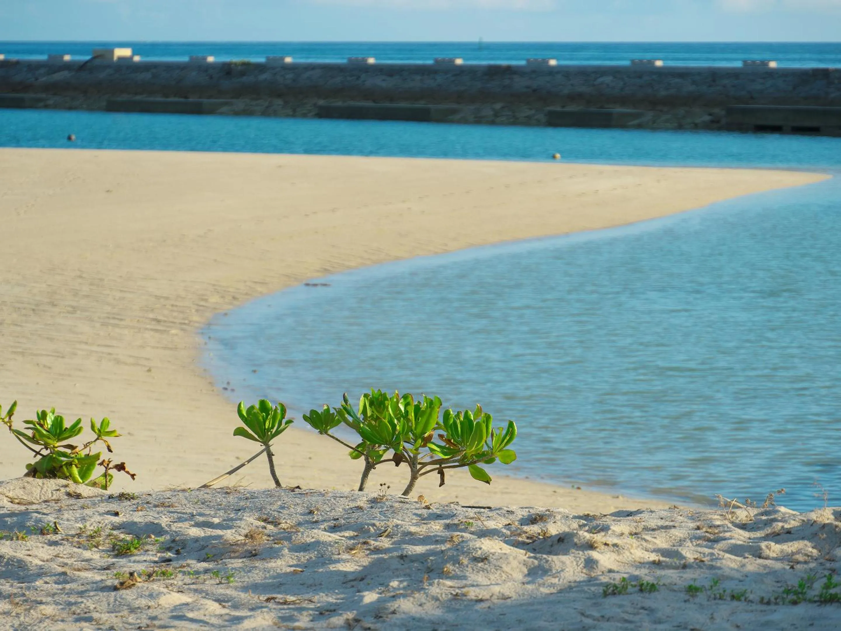 Natural landscape in Cozy Stay In Itoman