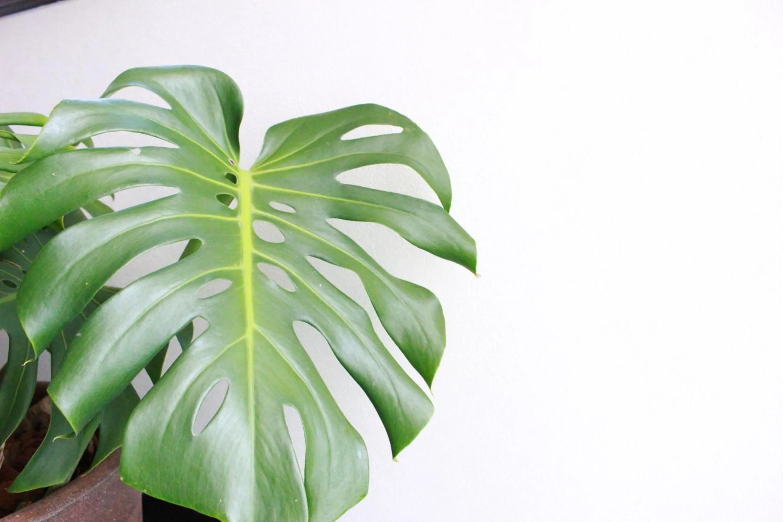 Facade/entrance in Nangoku Lodge Booya