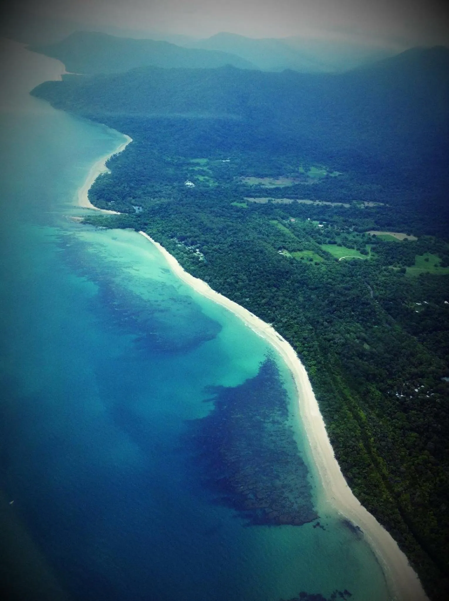 Natural landscape in Daintree Manor B&B