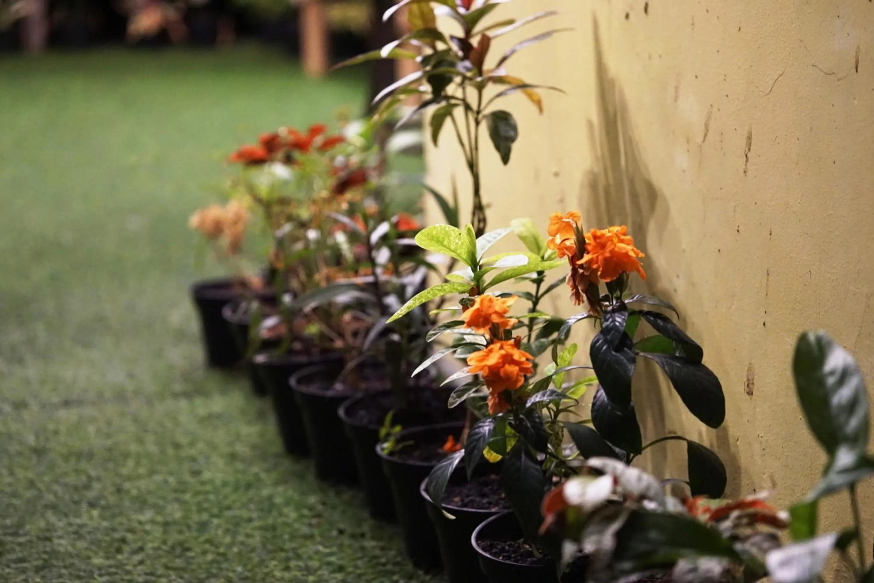 Wonderloft Hostel Kota Tua