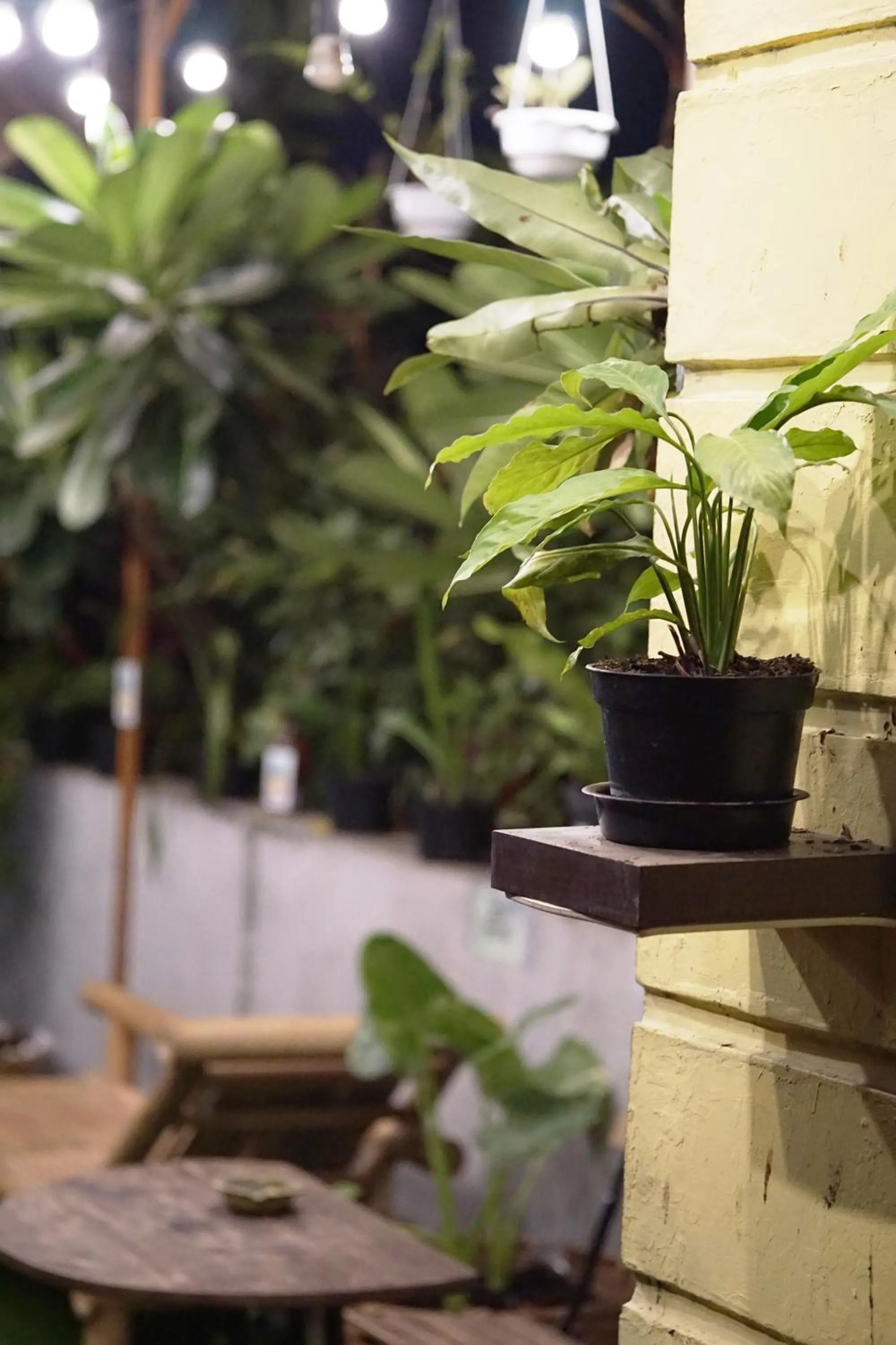 Wonderloft Hostel Kota Tua