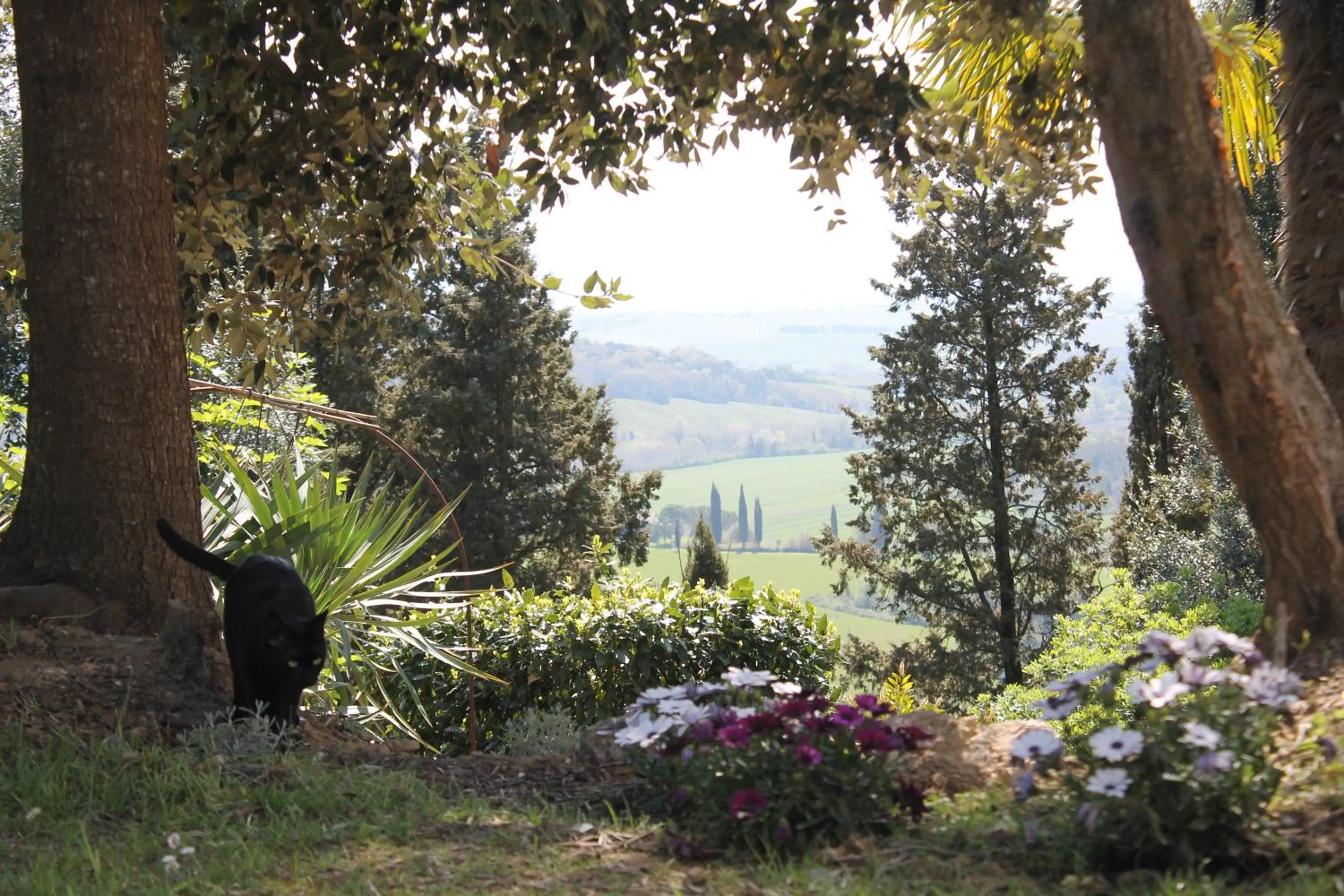 Garden in BB Gli Aristogatti