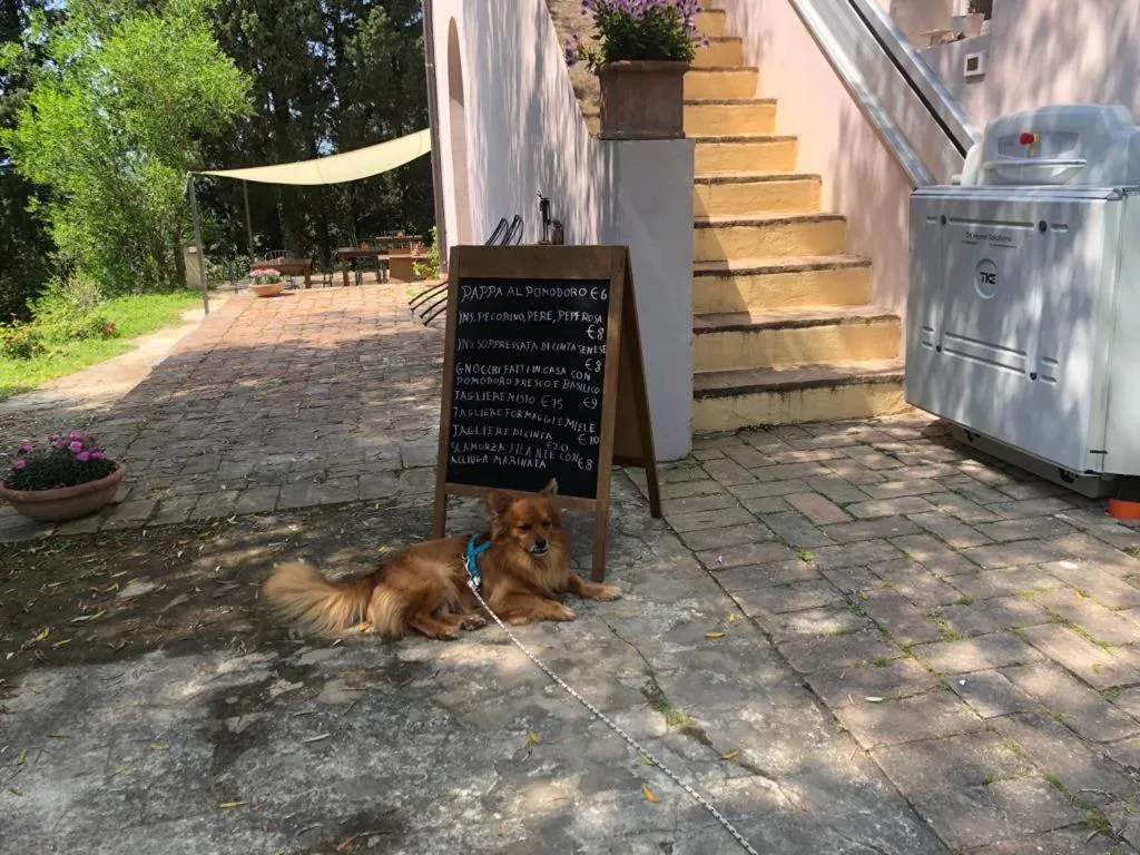 Restaurant/places to eat in BB Gli Aristogatti