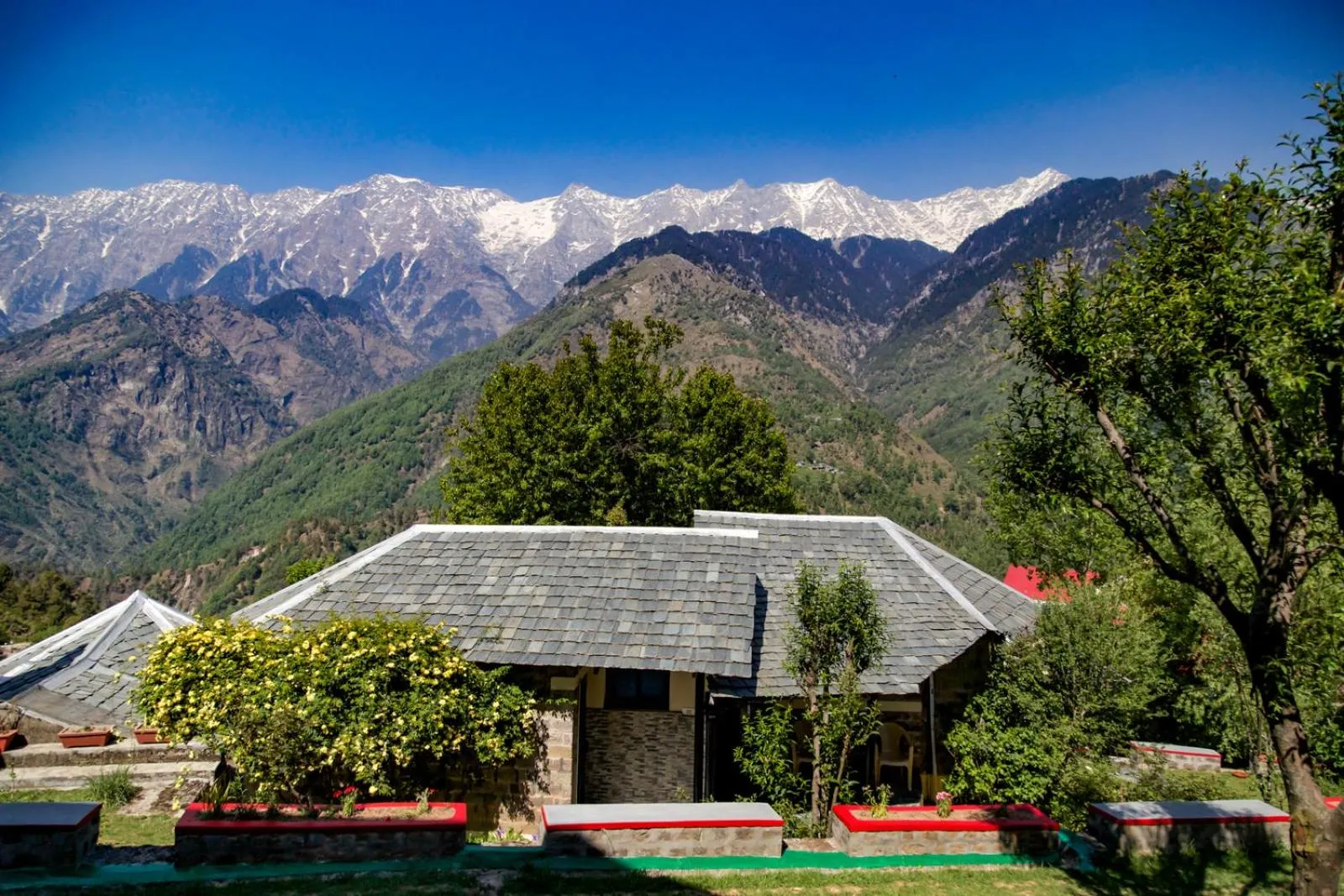 Garden in Hotel Udechee Huts, McLeod Ganj