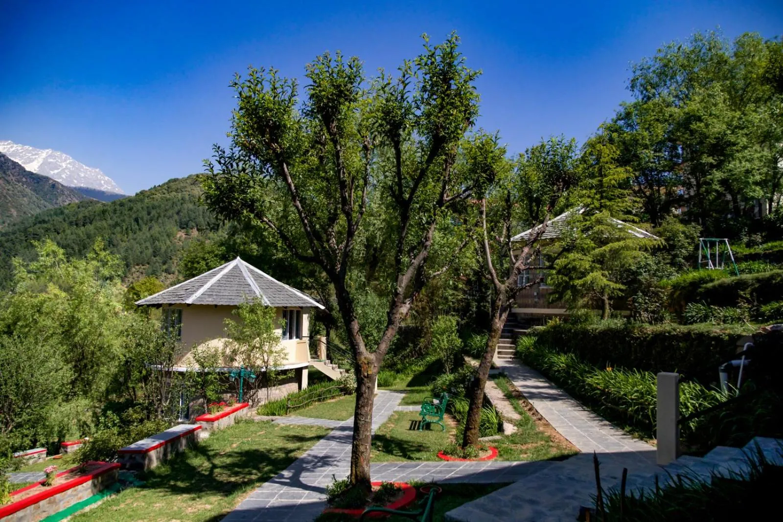 Hotel Udechee Huts, McLeod Ganj