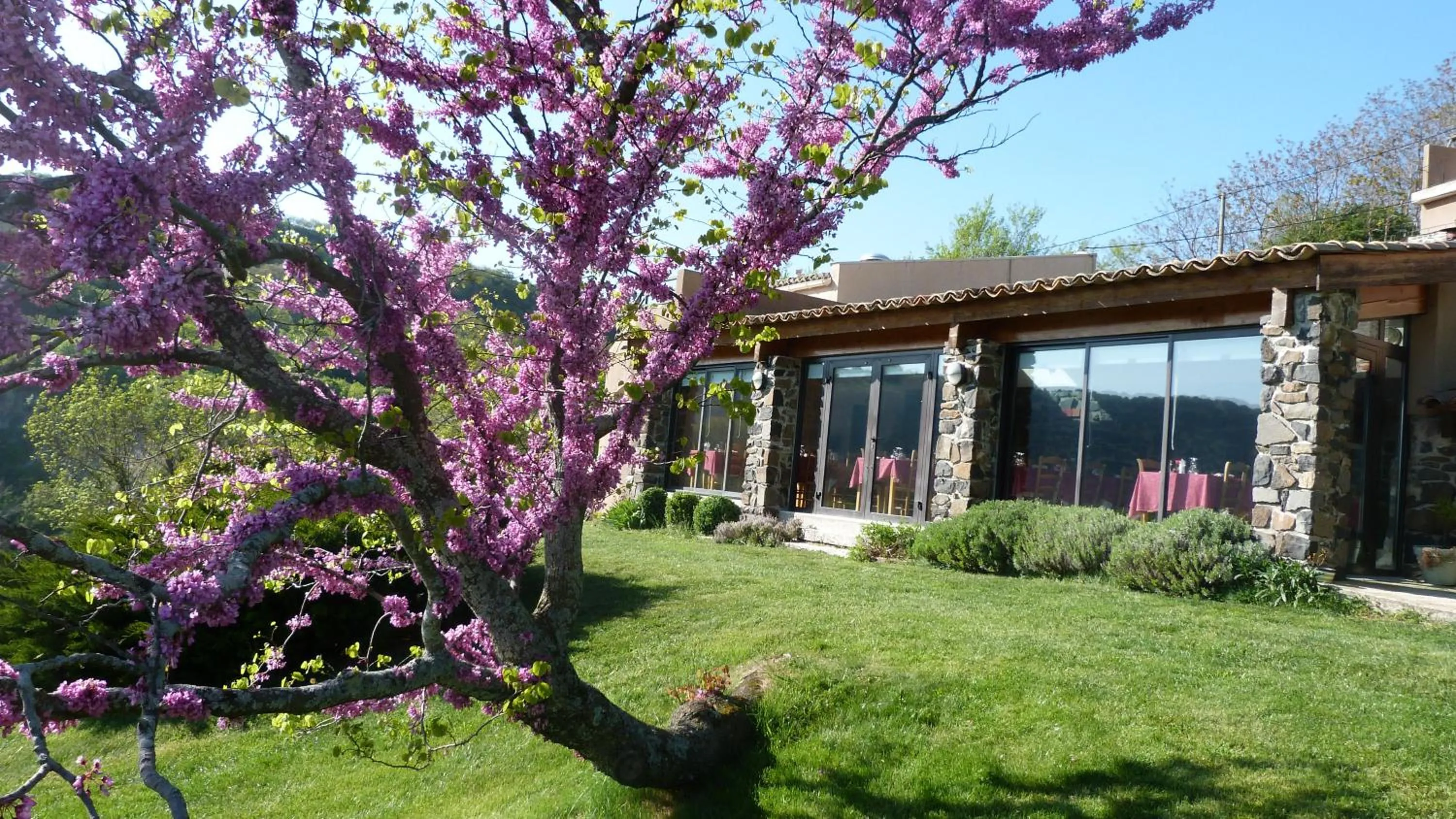 View (from property/room) in Logis Hôtel-restaurant La Mère Biquette