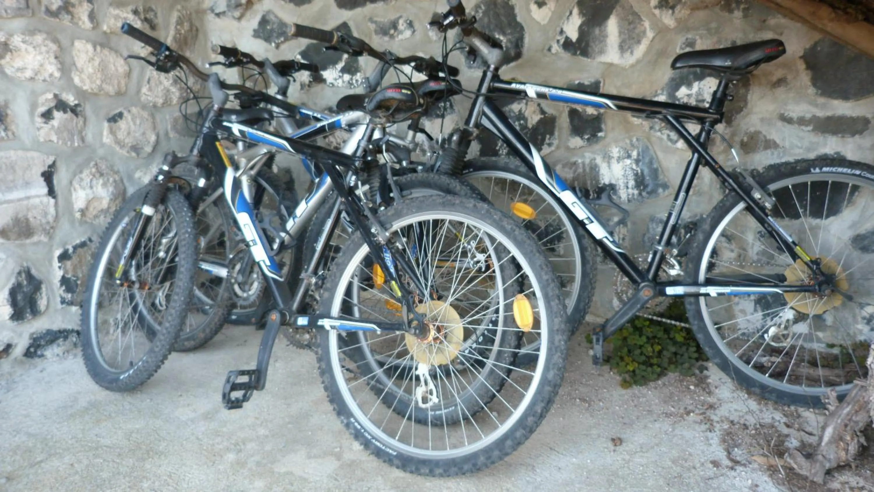 Cycling in Logis Hôtel-restaurant La Mère Biquette