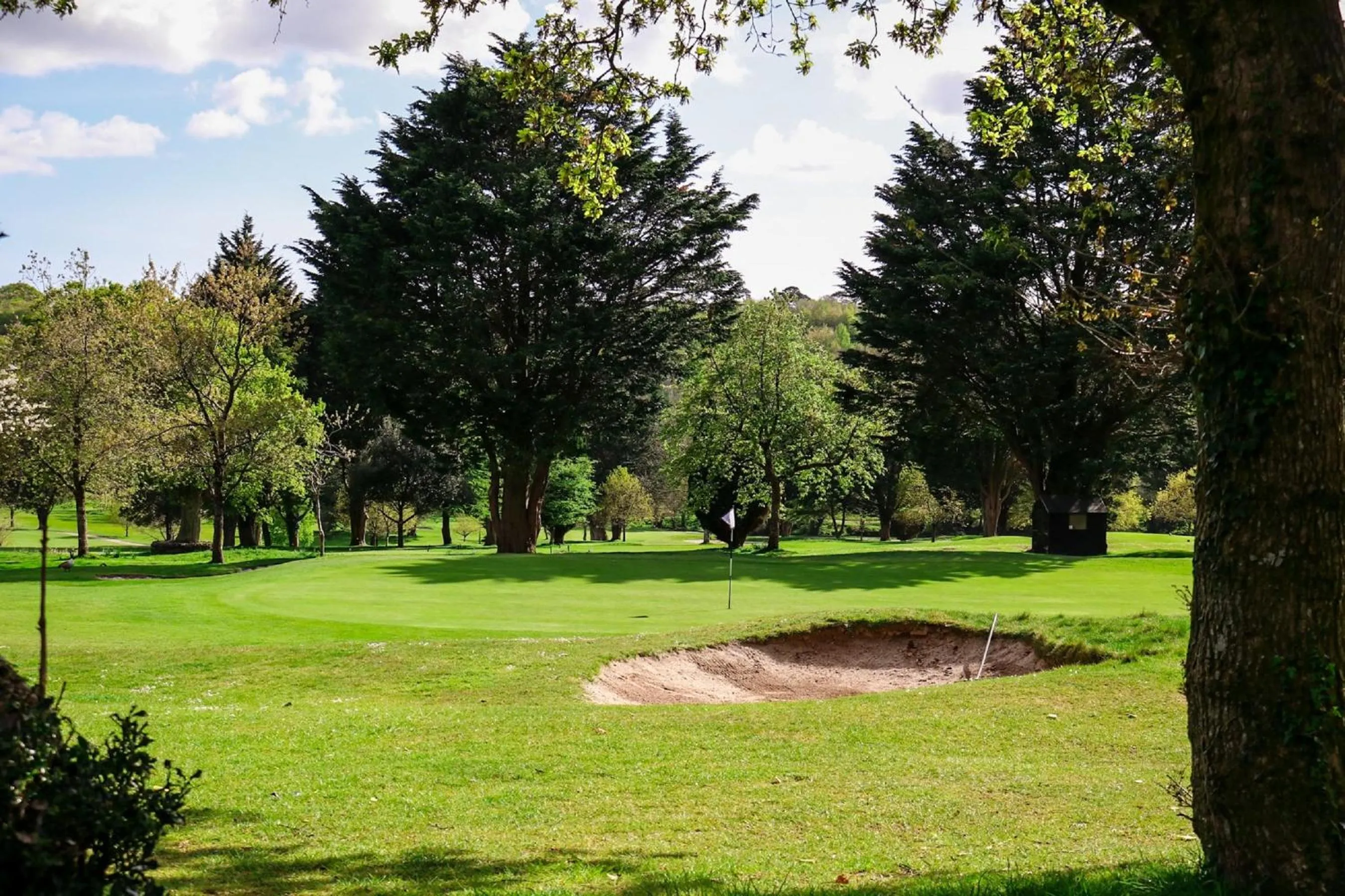 Golfcourse in Elfordleigh Hotel