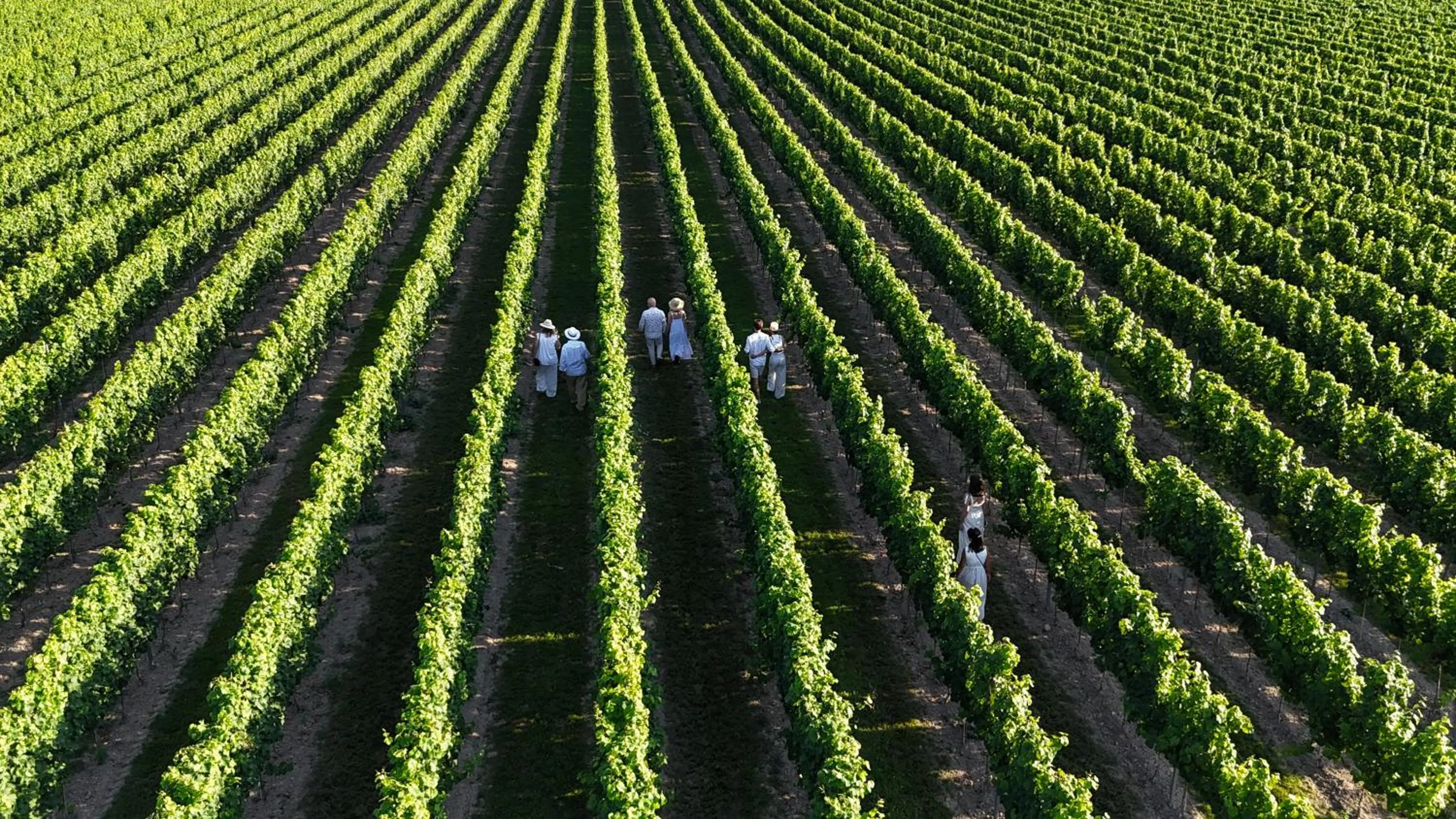 Hotel & Spa Pałac Mała Wieś