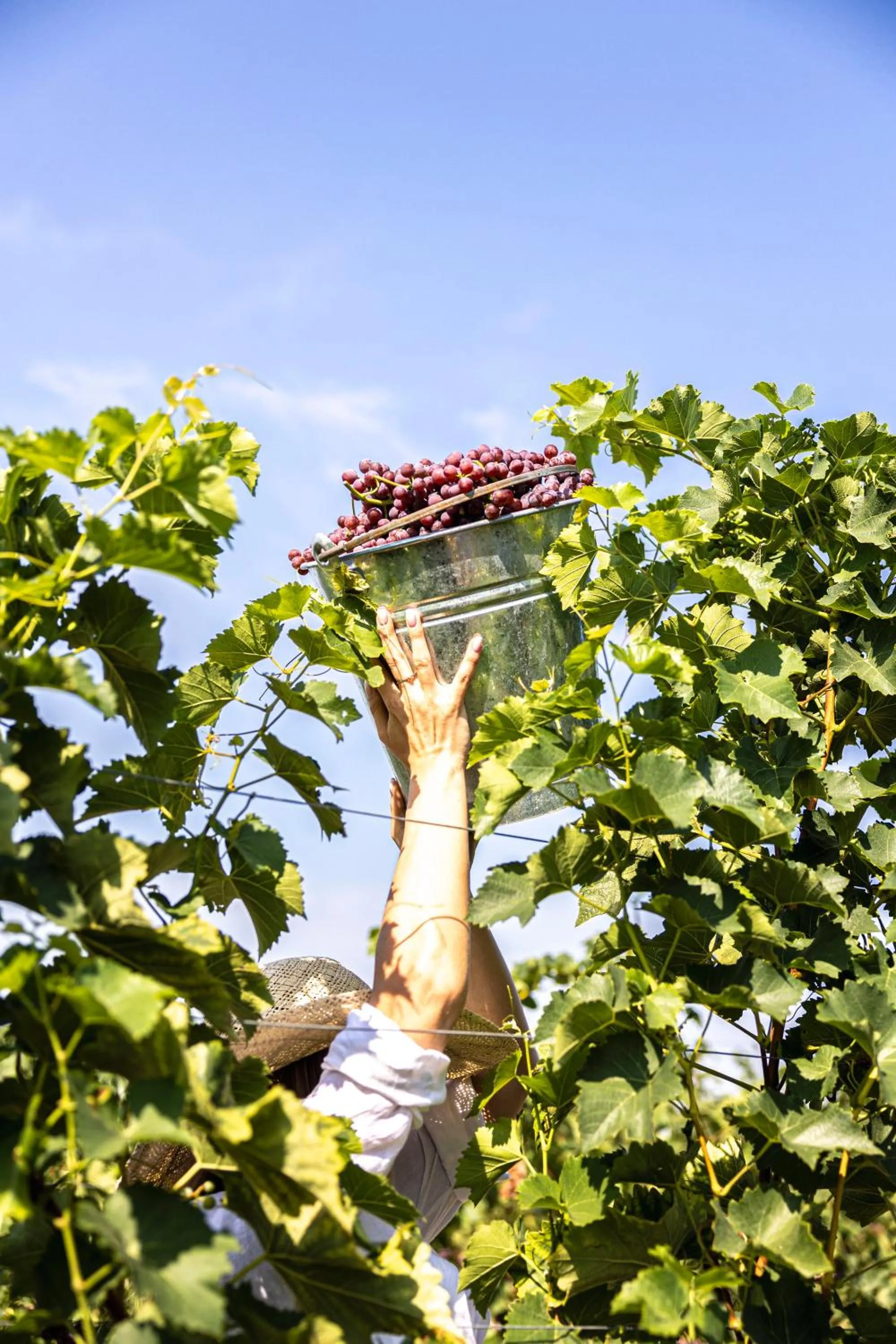 Hotel & Spa Pałac Mała Wieś