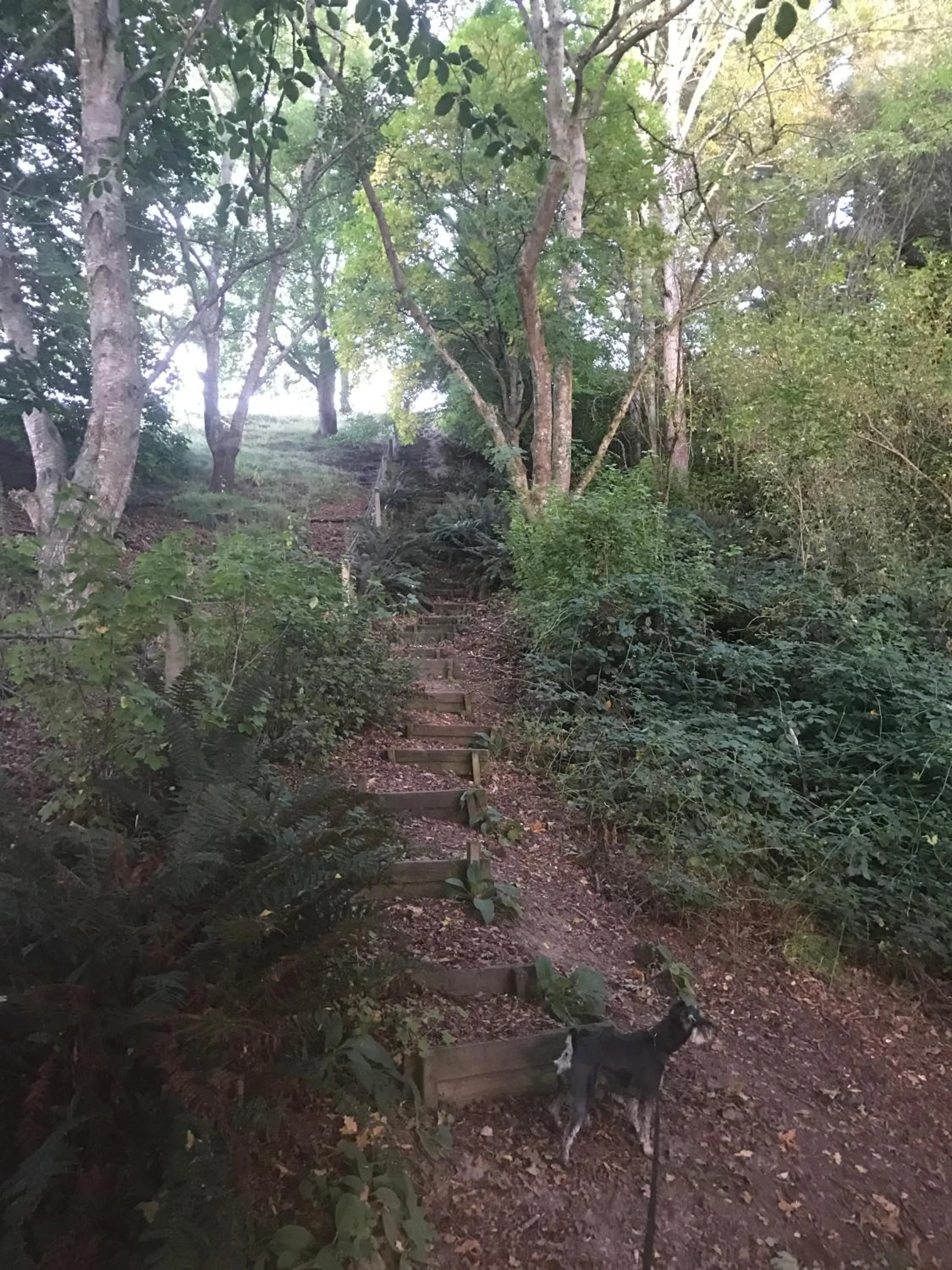 Hiking in Blair Athol Accommodation