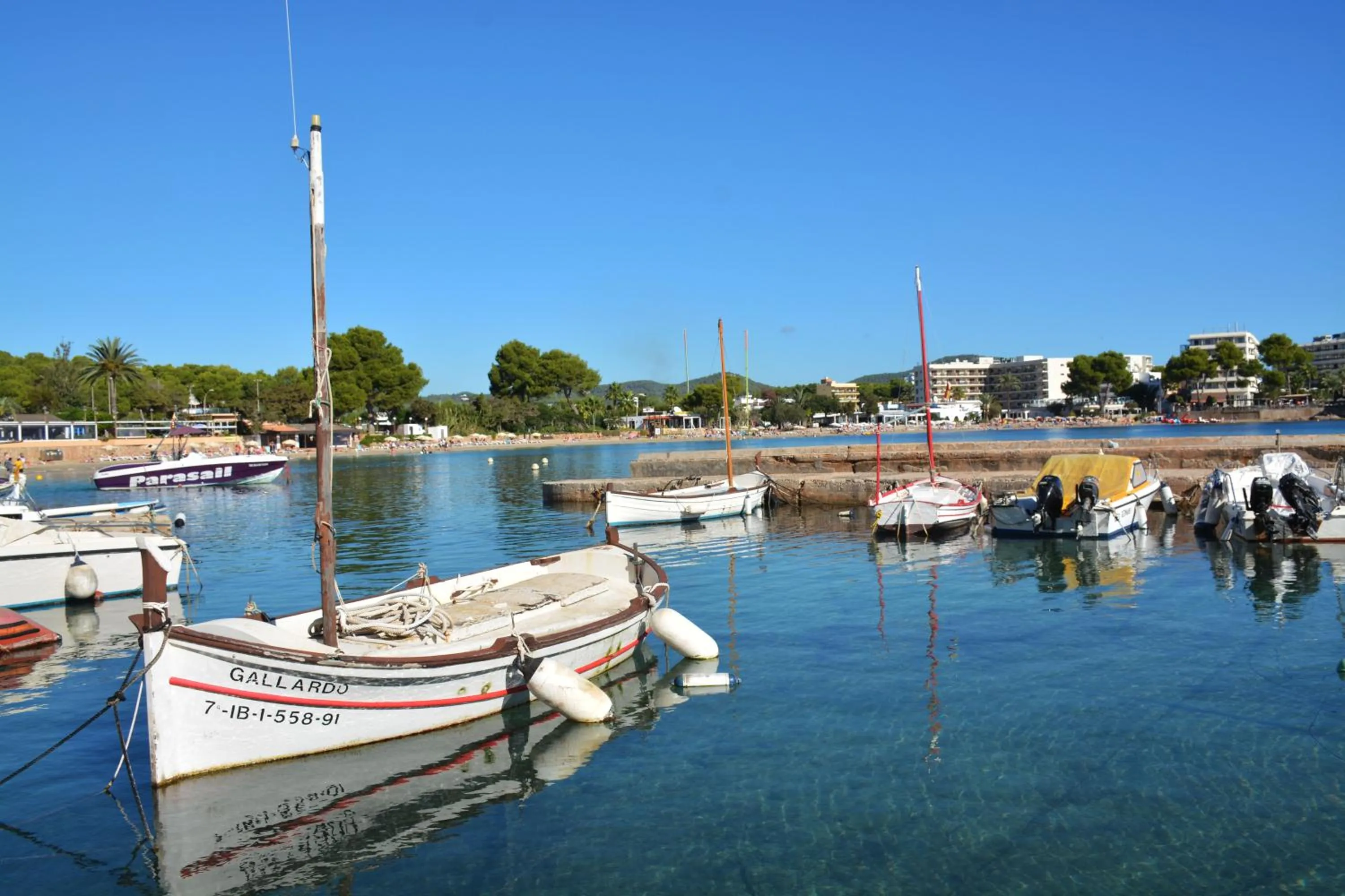 Natural landscape in Apartamentos Playa Sol