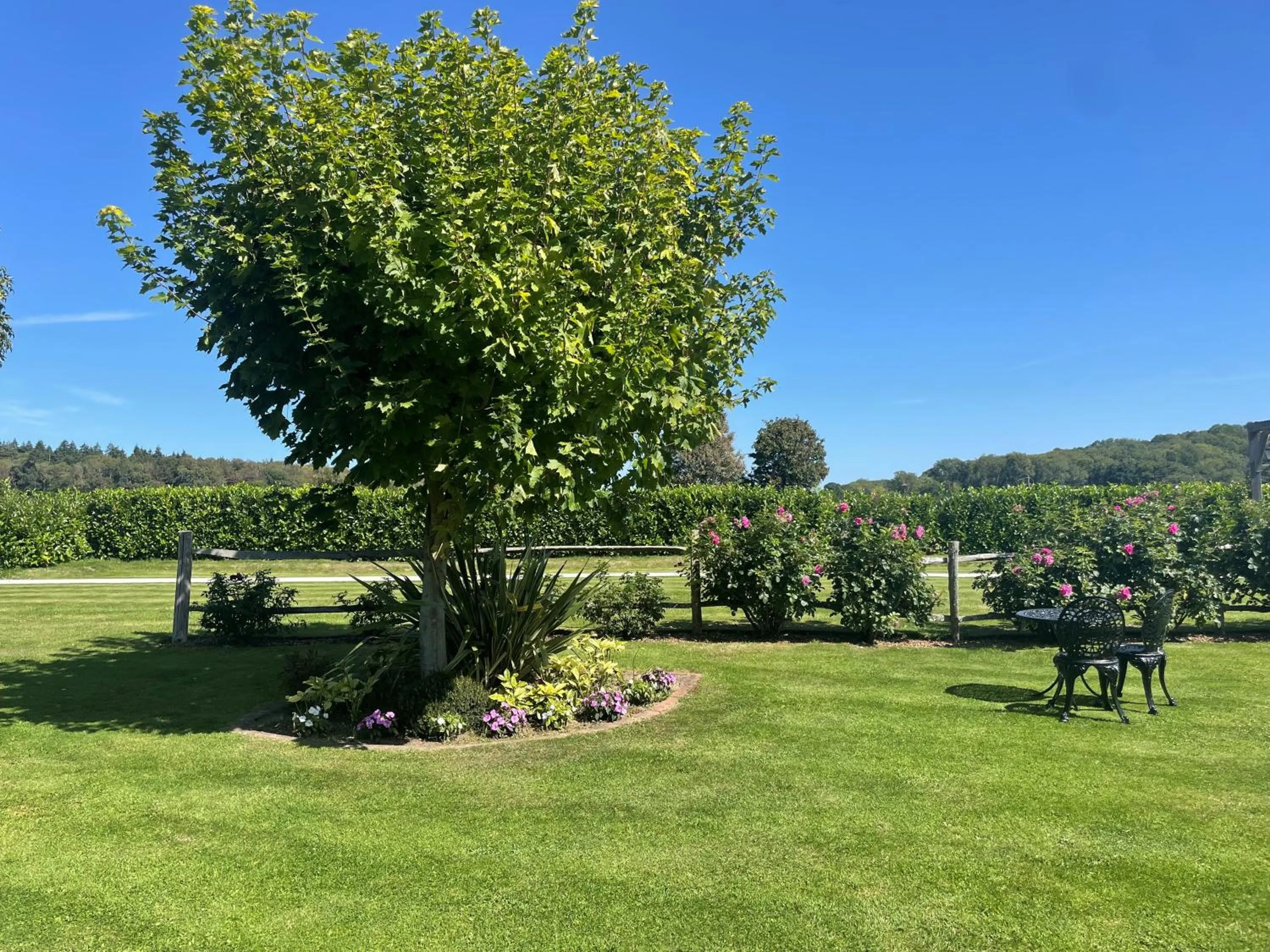 View (from property/room) in Old Selden Farm B&B