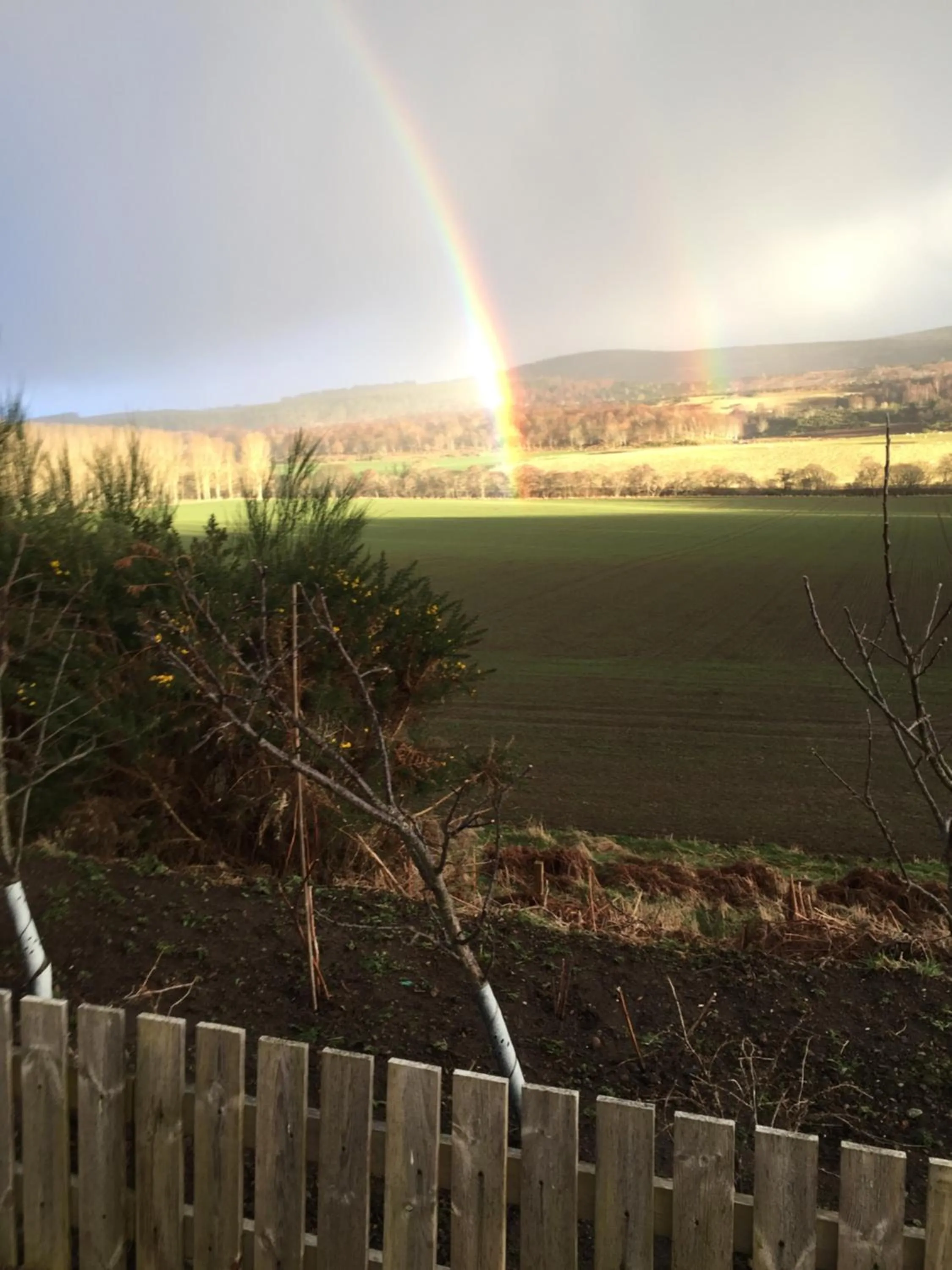 On site in Doura Lodge