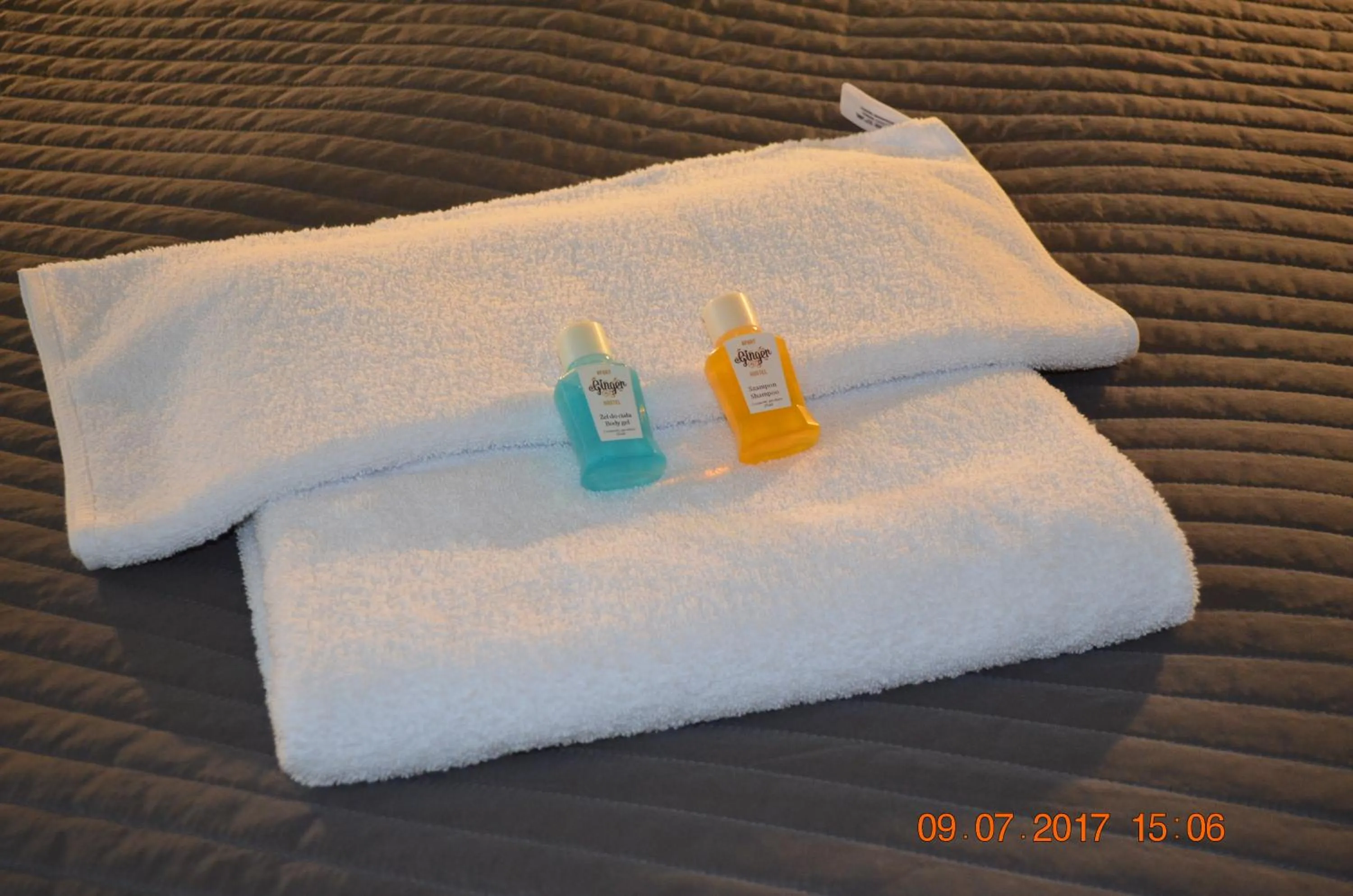 Area and facilities in Ginger ApartHostel