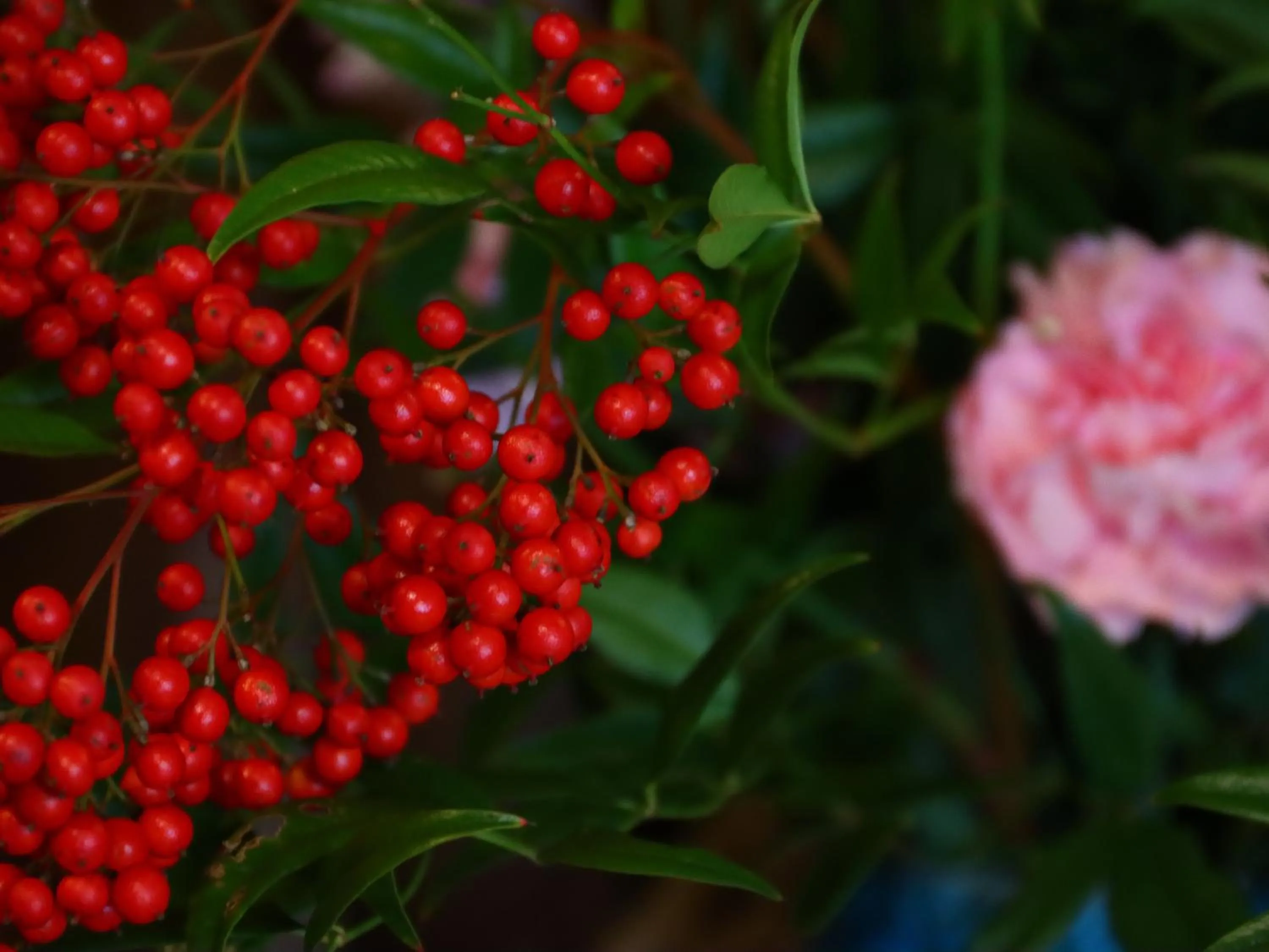 Area and facilities in Yokokura Ryokan