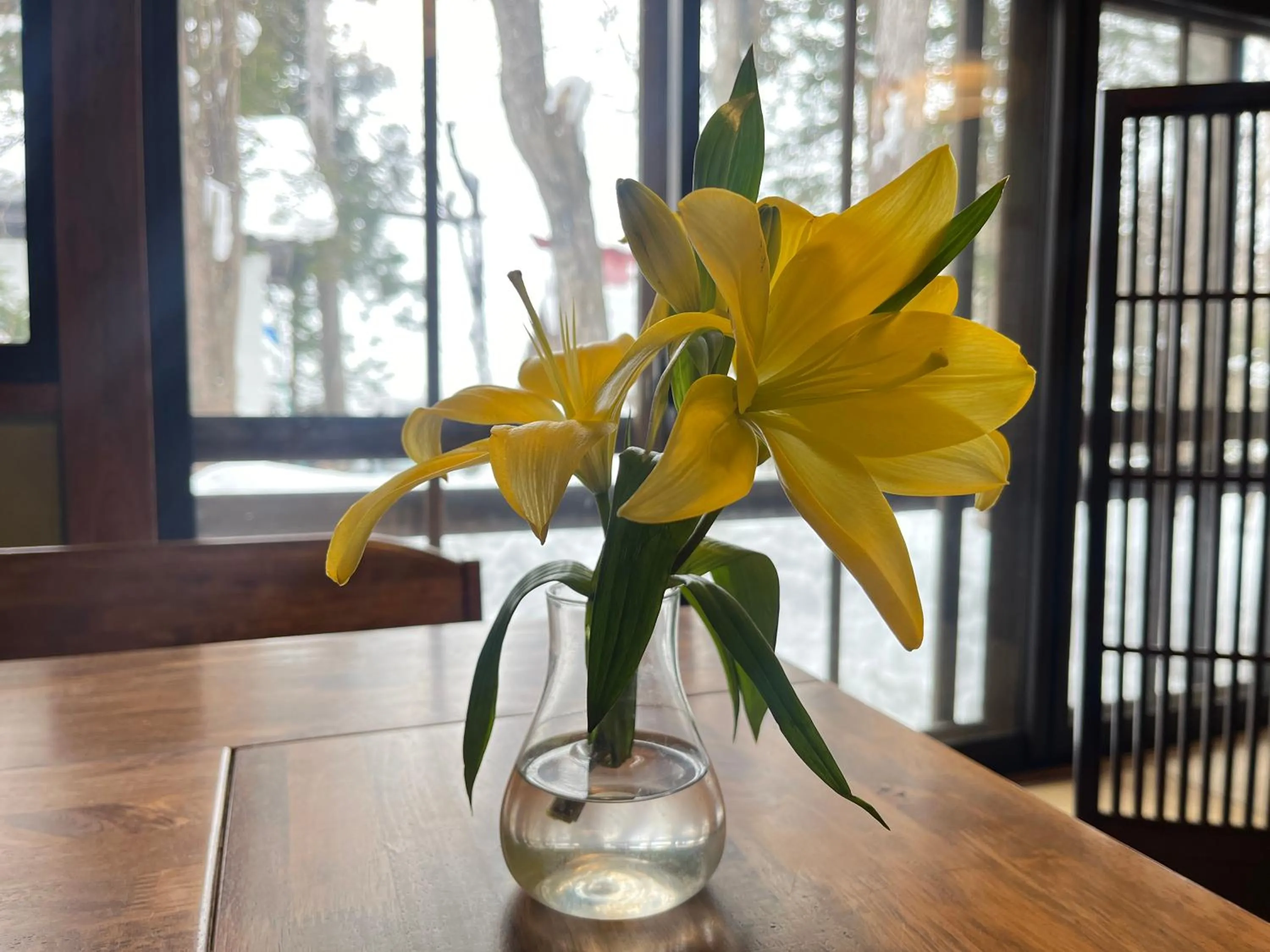 Area and facilities in Yokokura Ryokan