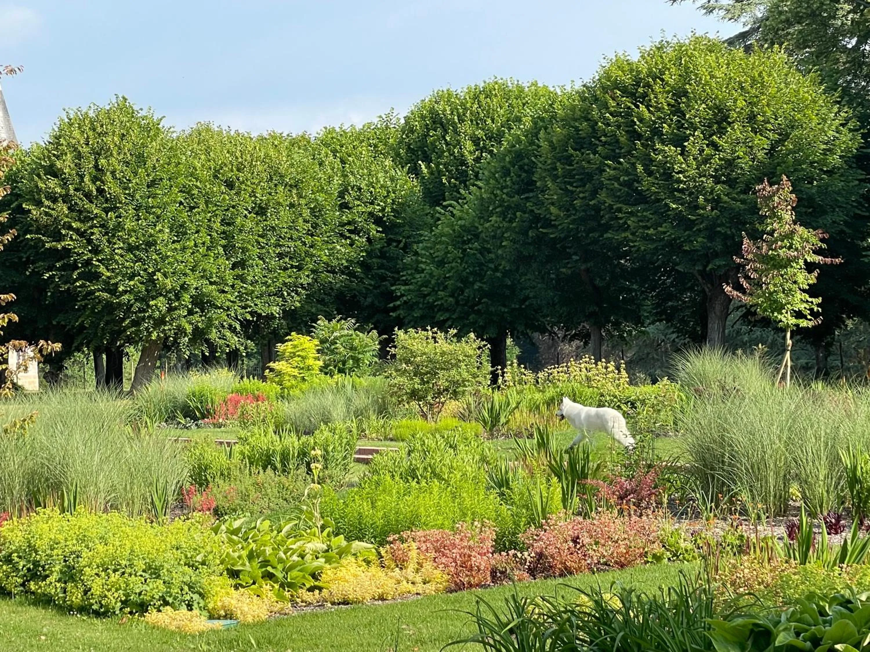 Garden in Château de Beauvais
