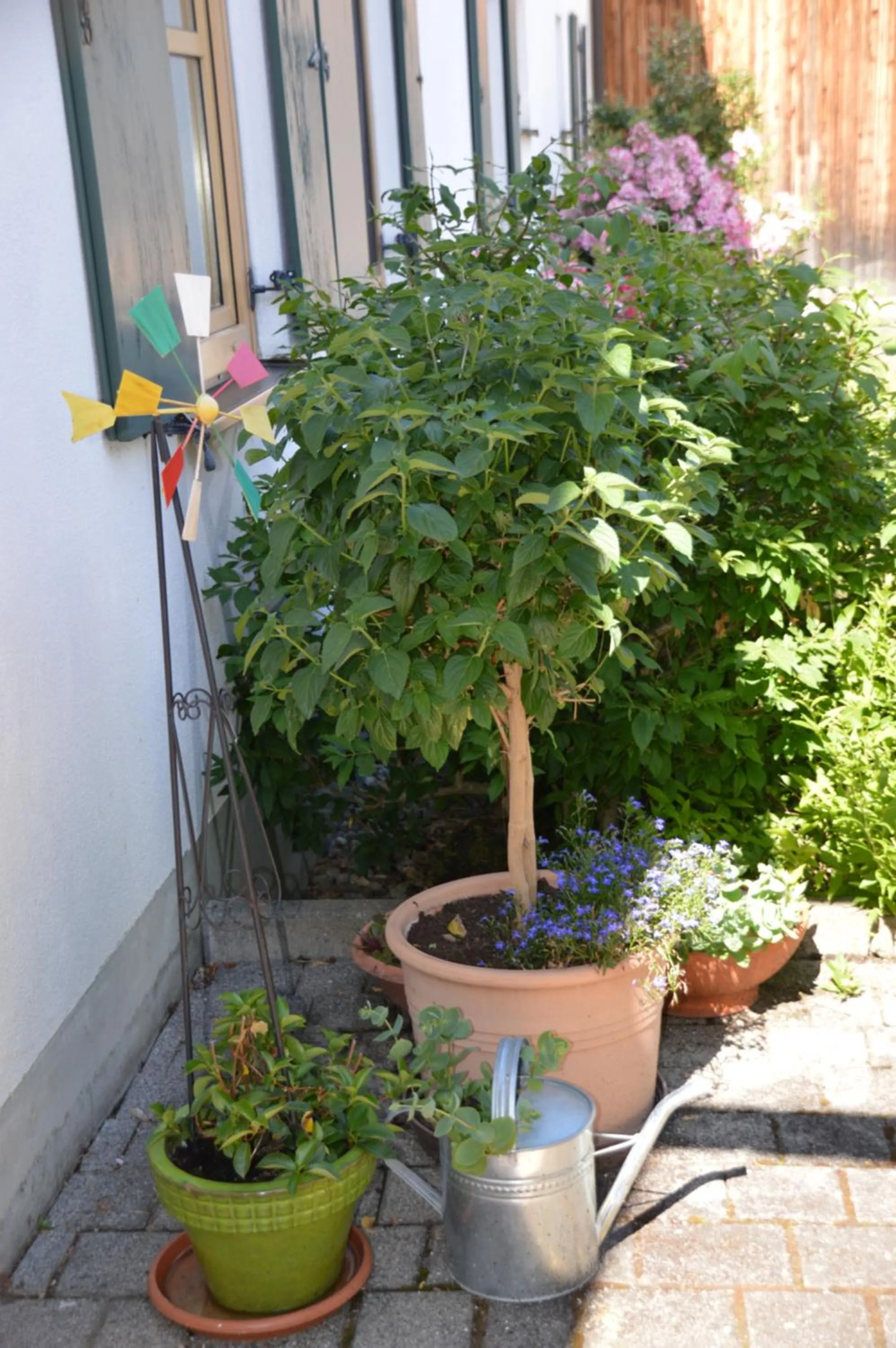 Garden in Gasthof Zahler