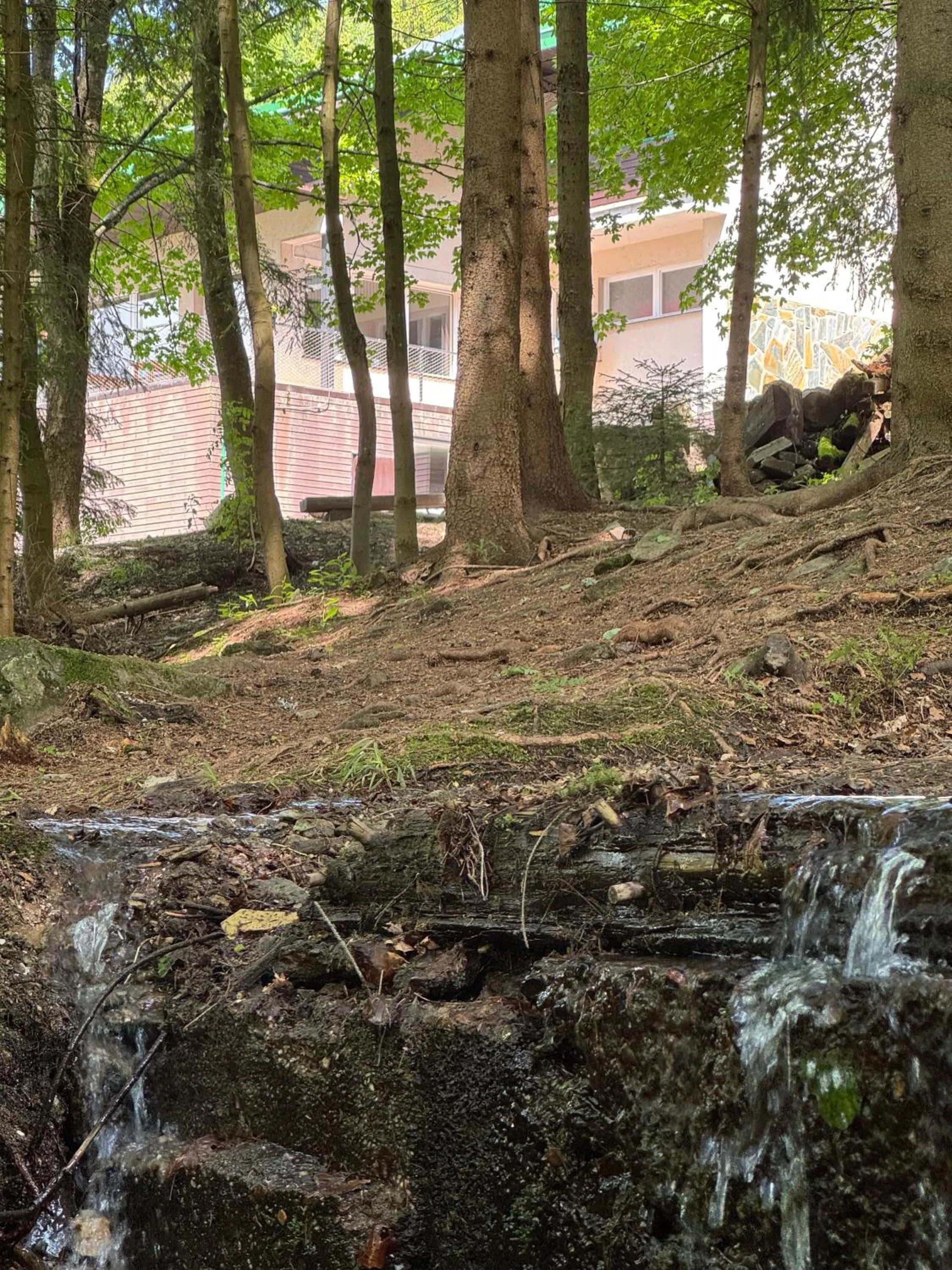 River view in Hotel Horní Pramen