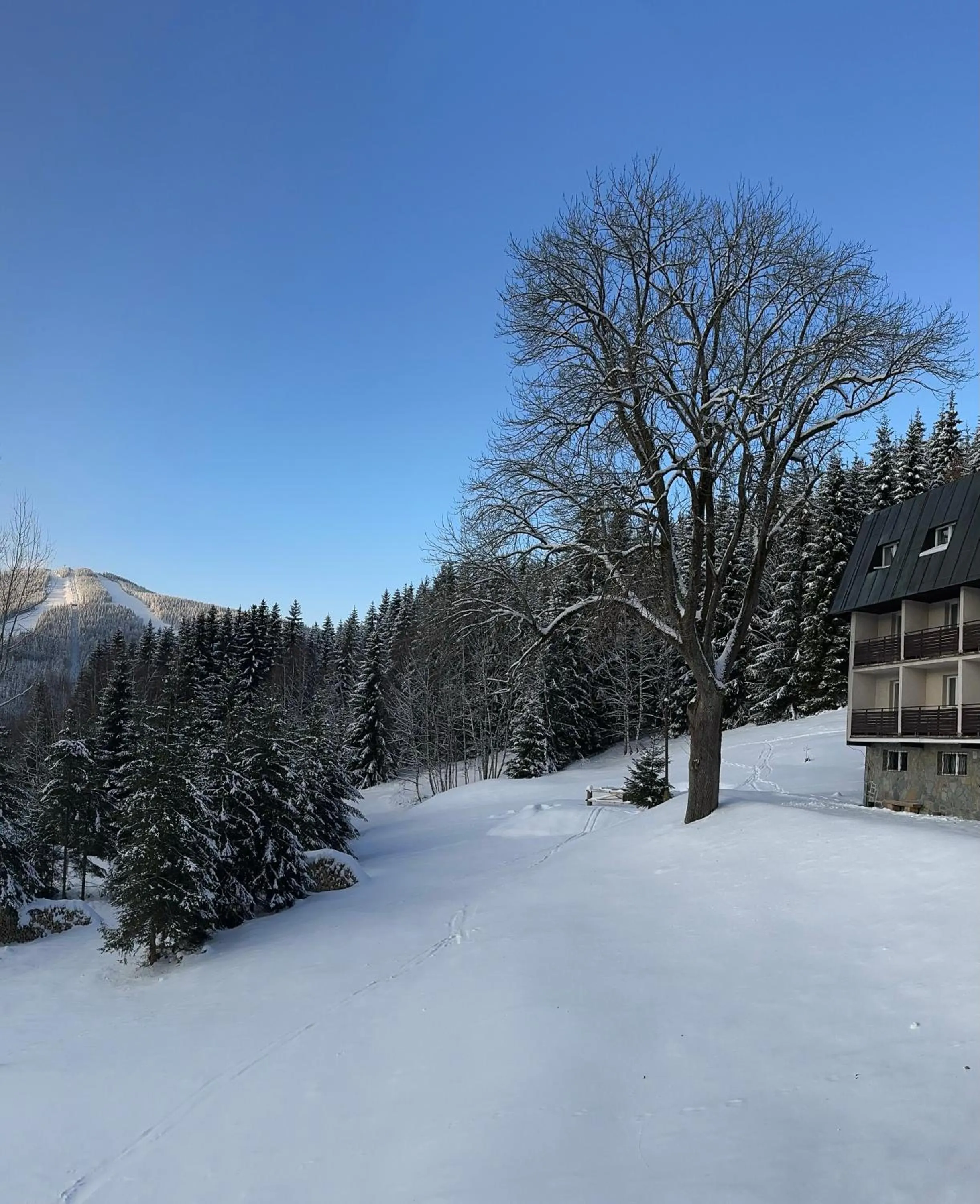 Property building in Hotel Horní Pramen