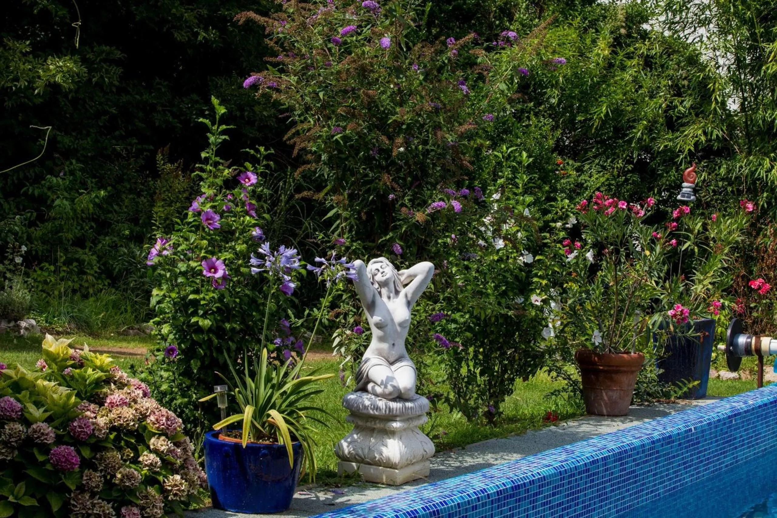Garden in Villa Sonnenschein