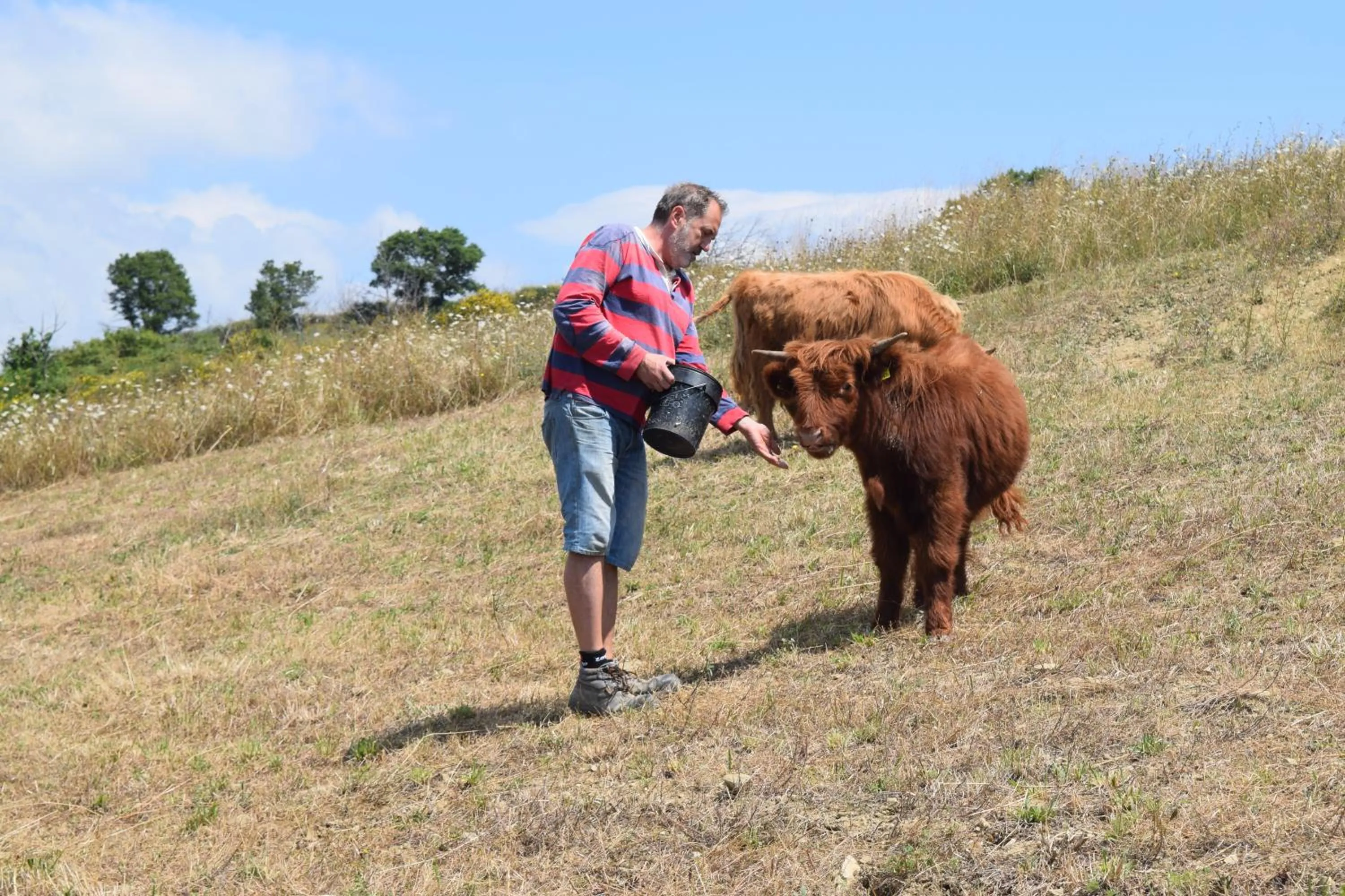 Pets in Agriturismo Terra Selvatica