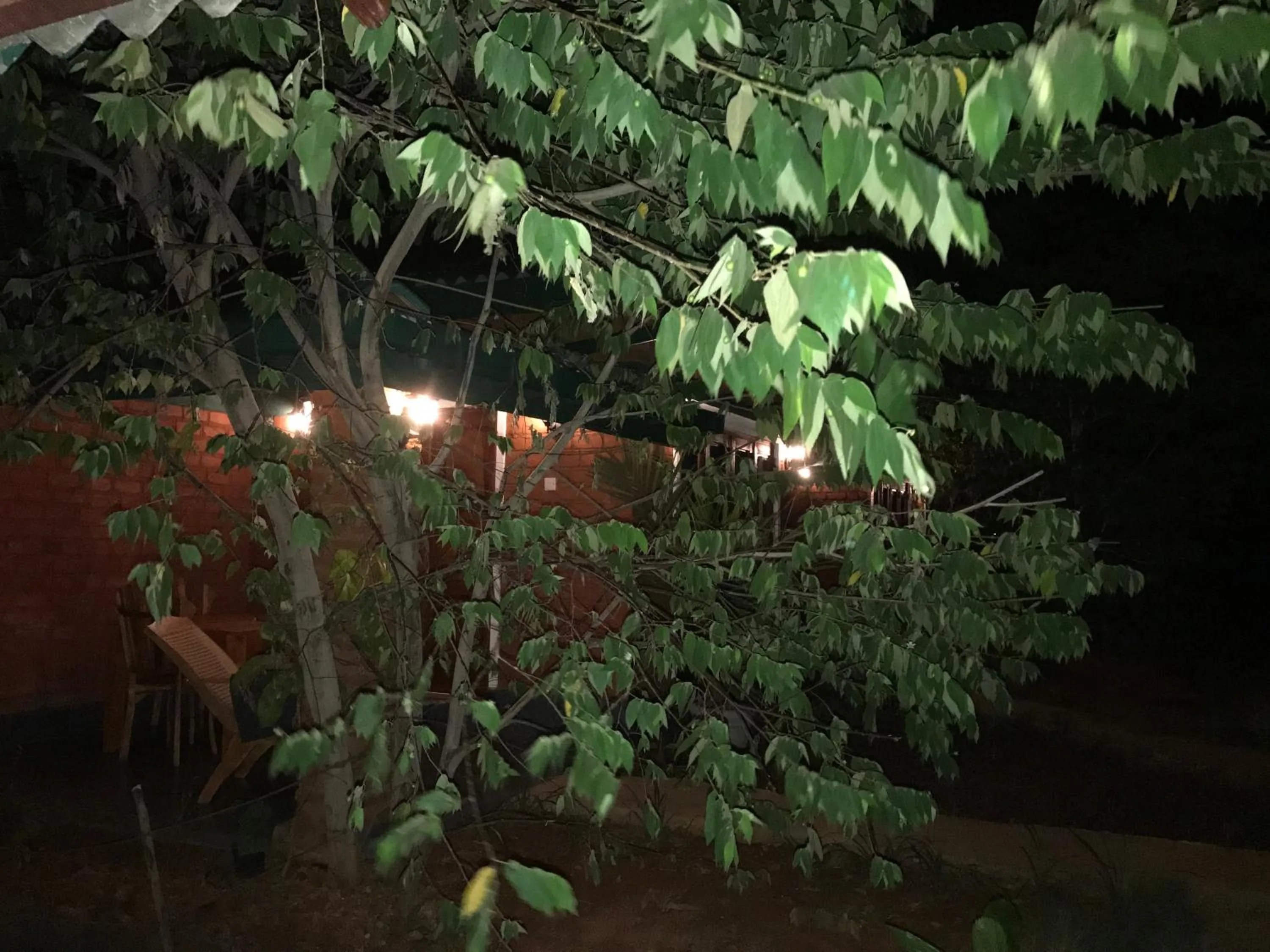 Night in Sunshine Resort & Spa Sigiriya