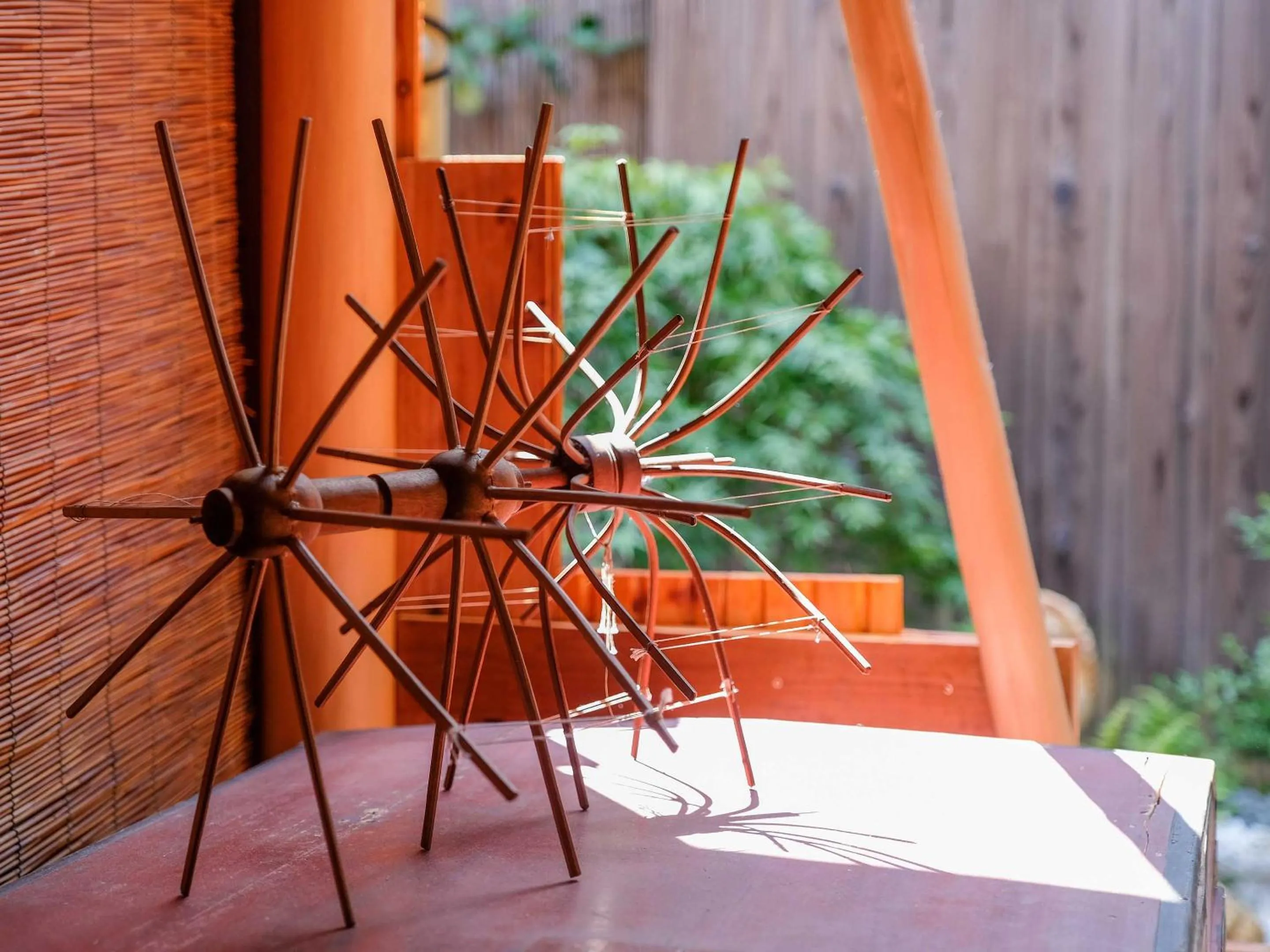 Garden in K-style kinkakuji