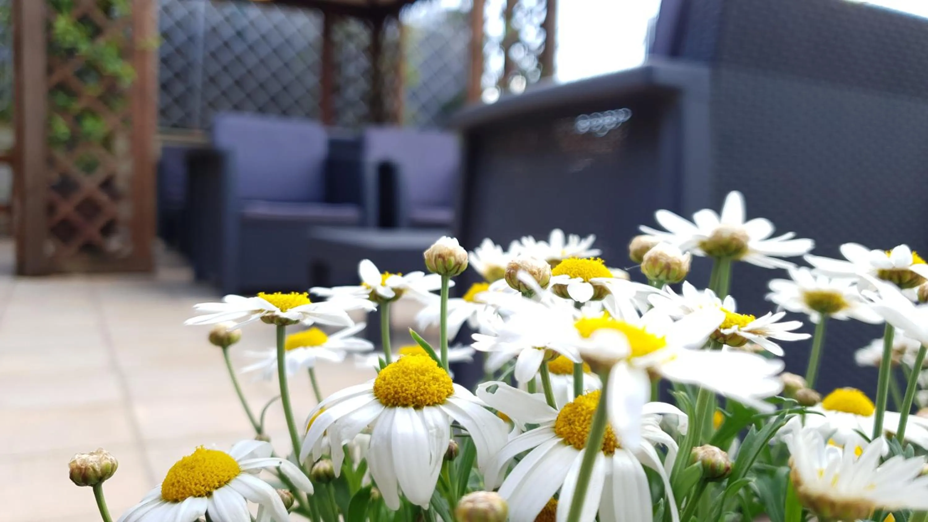 Balcony/Terrace in Rome Aparts