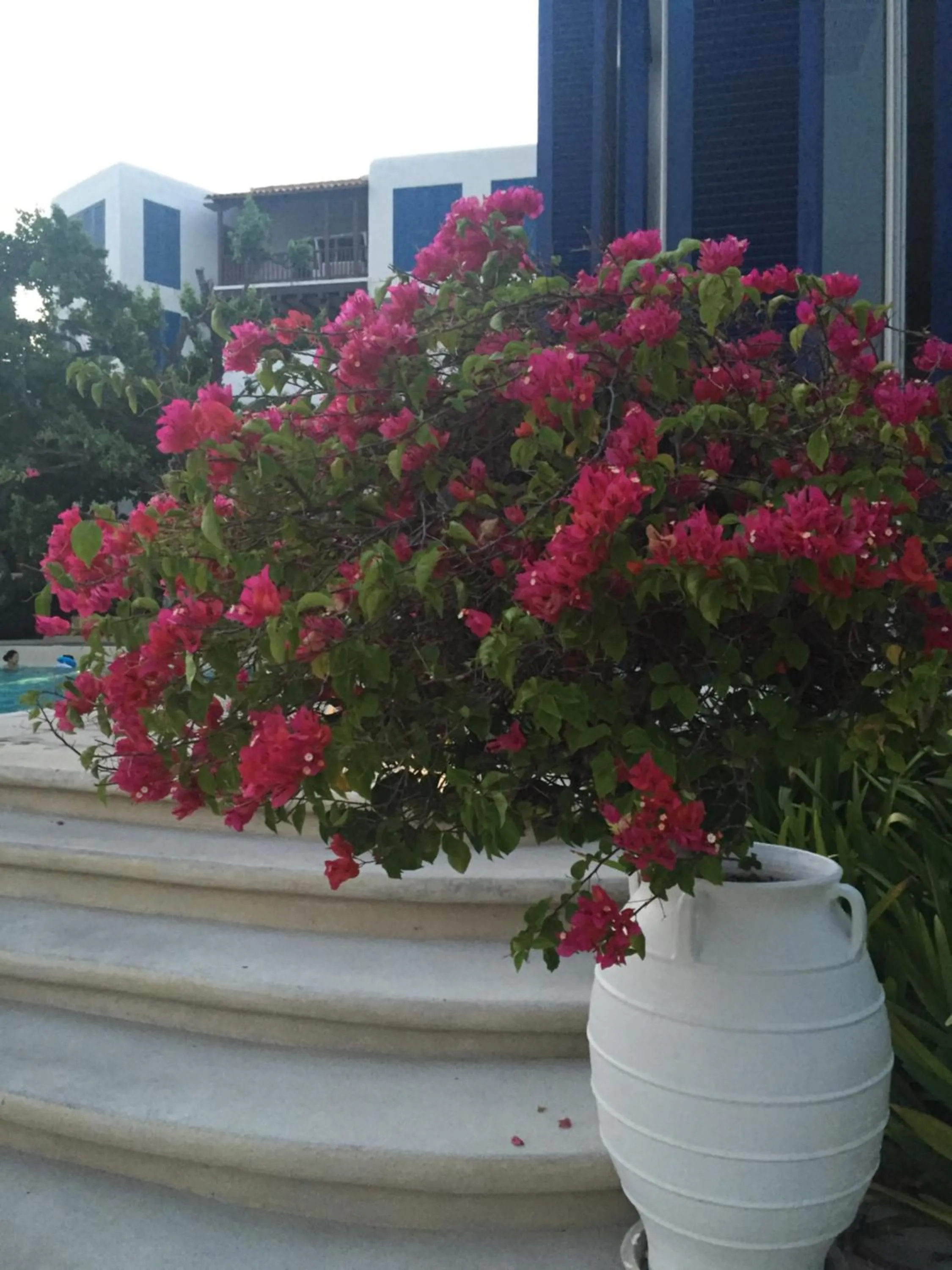 Decorative detail in The Chelona pool access by Away