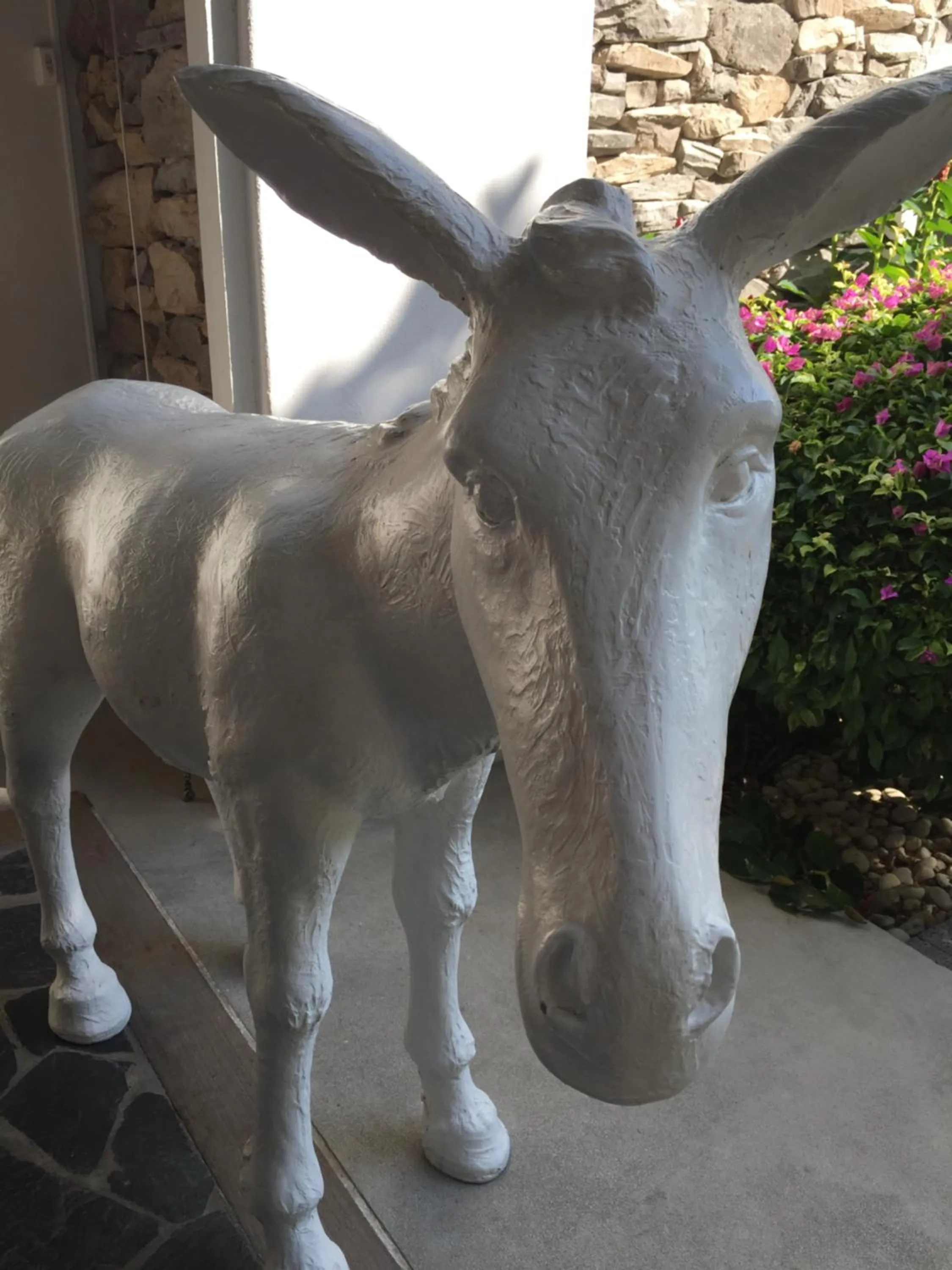 Natural landscape in The Chelona pool access by Away