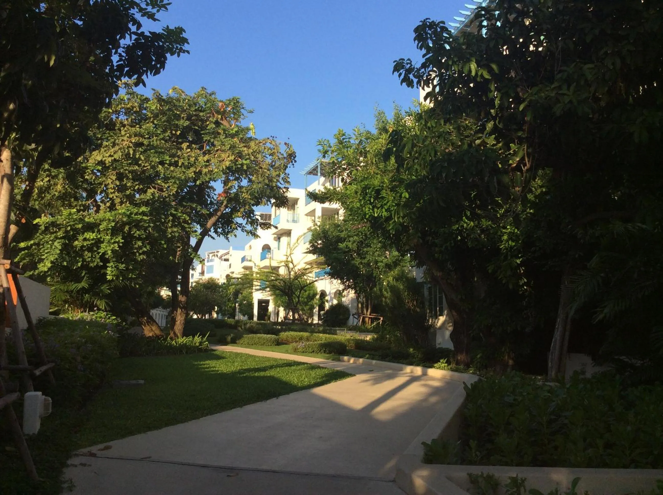 Garden in The Chelona pool access by Away