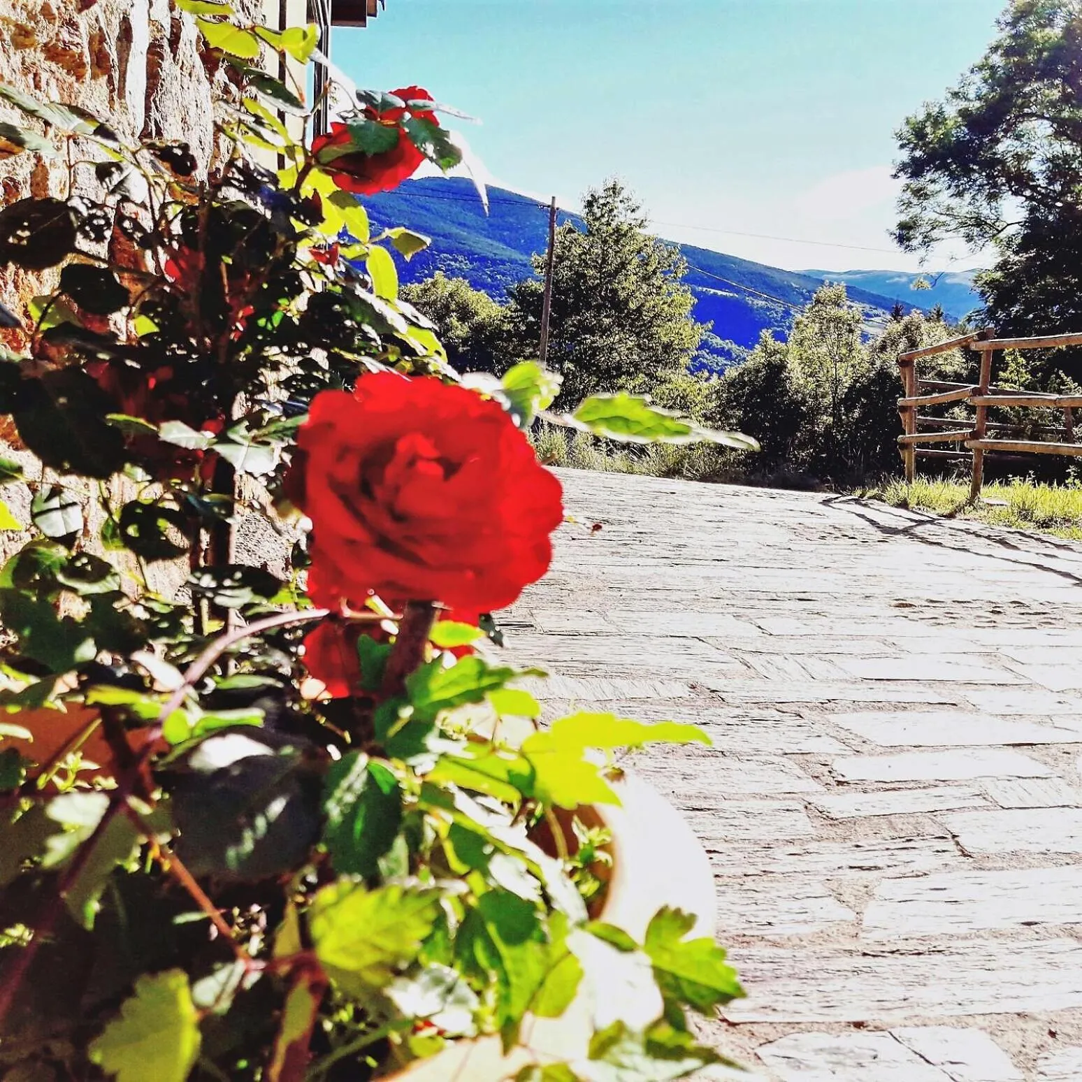 Natural landscape in Can Gasparó HotelRural&Restaurant