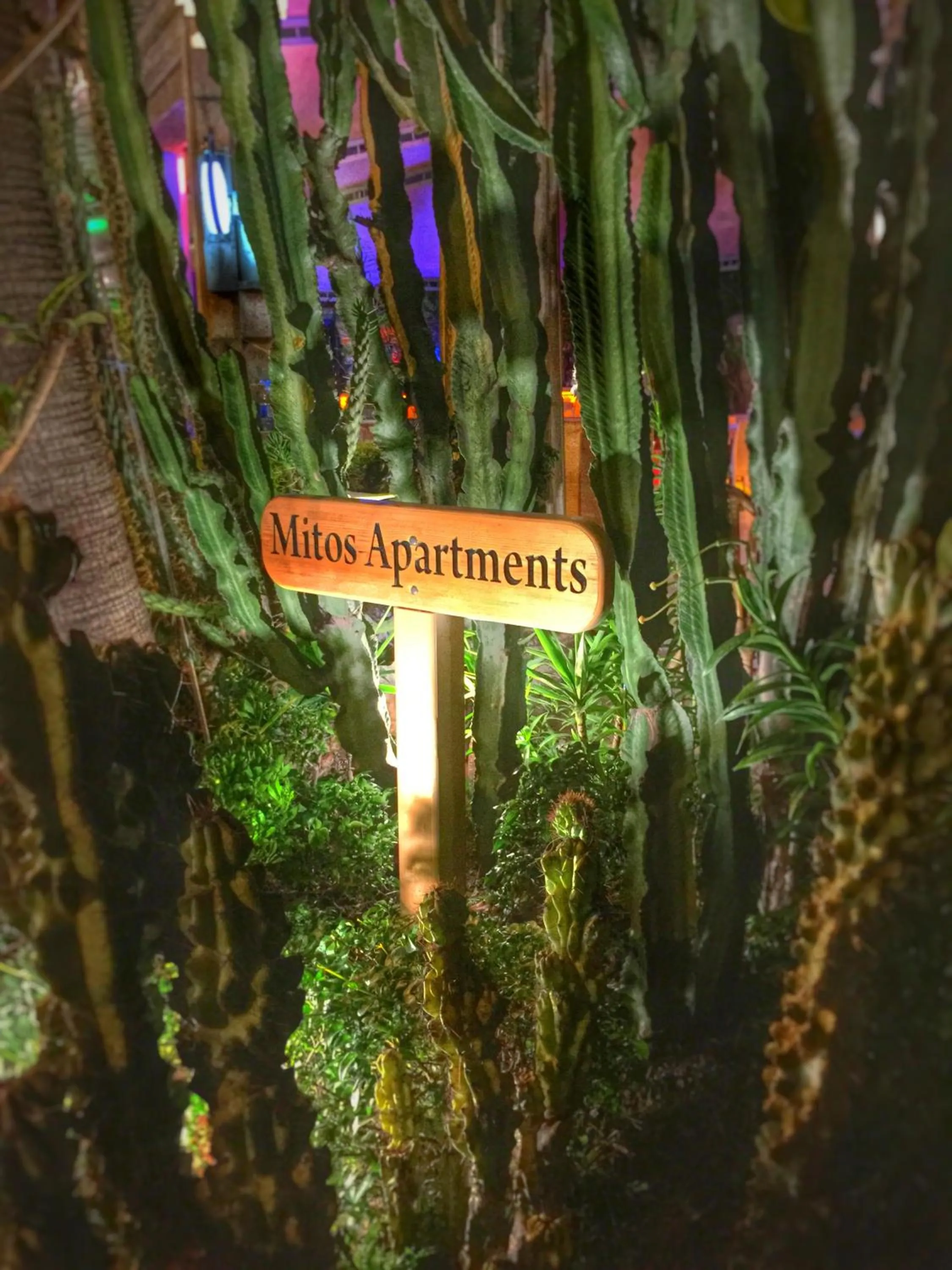 Garden in Mitos Apartments