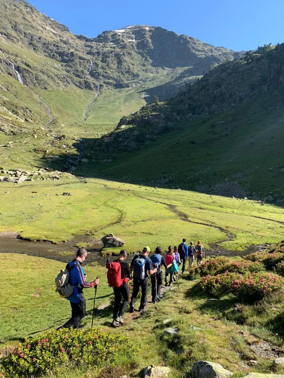 Natural landscape in Yomo Patagonia